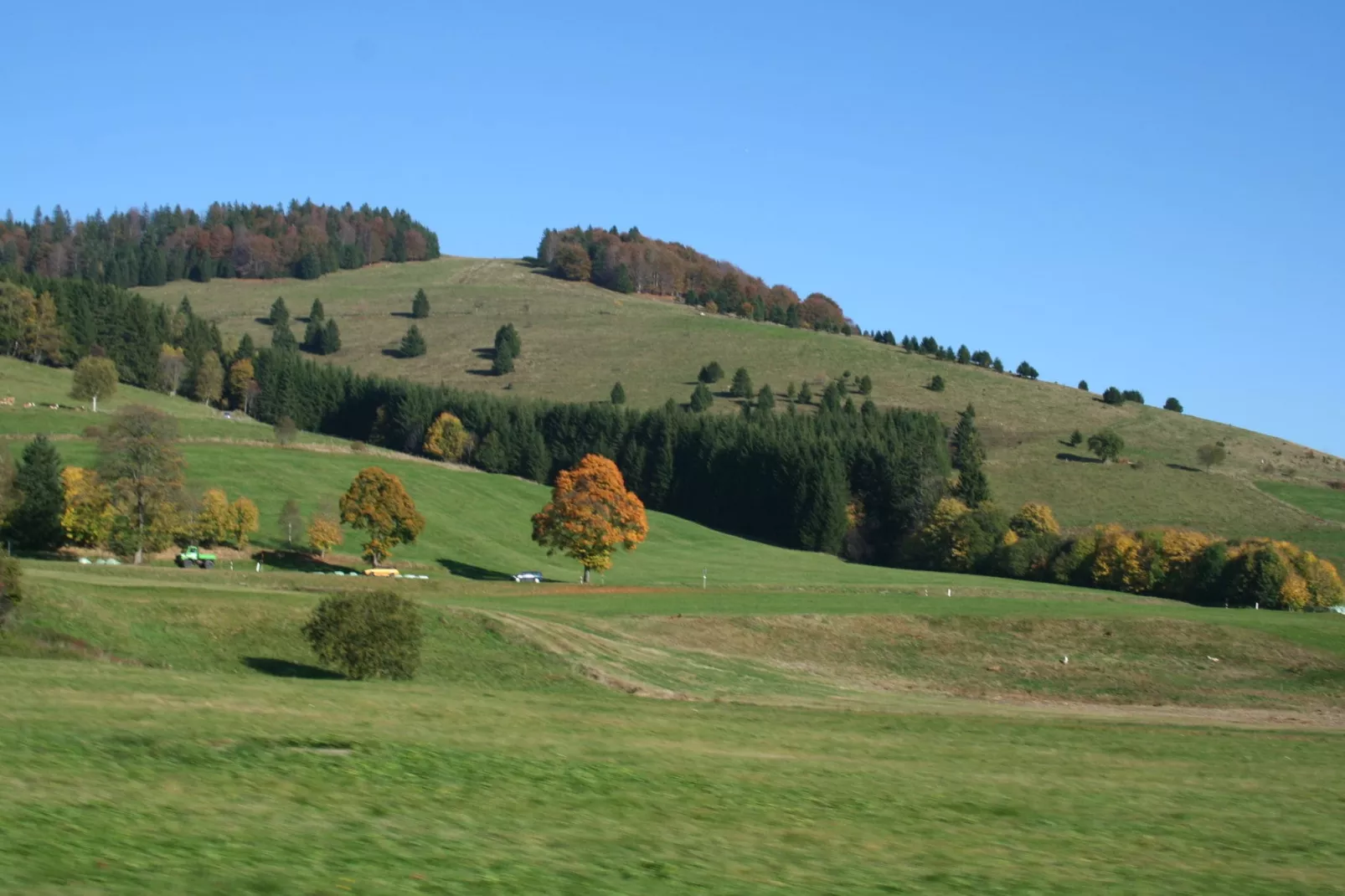 Altes Forsthaus-Gebieden zomer 20km