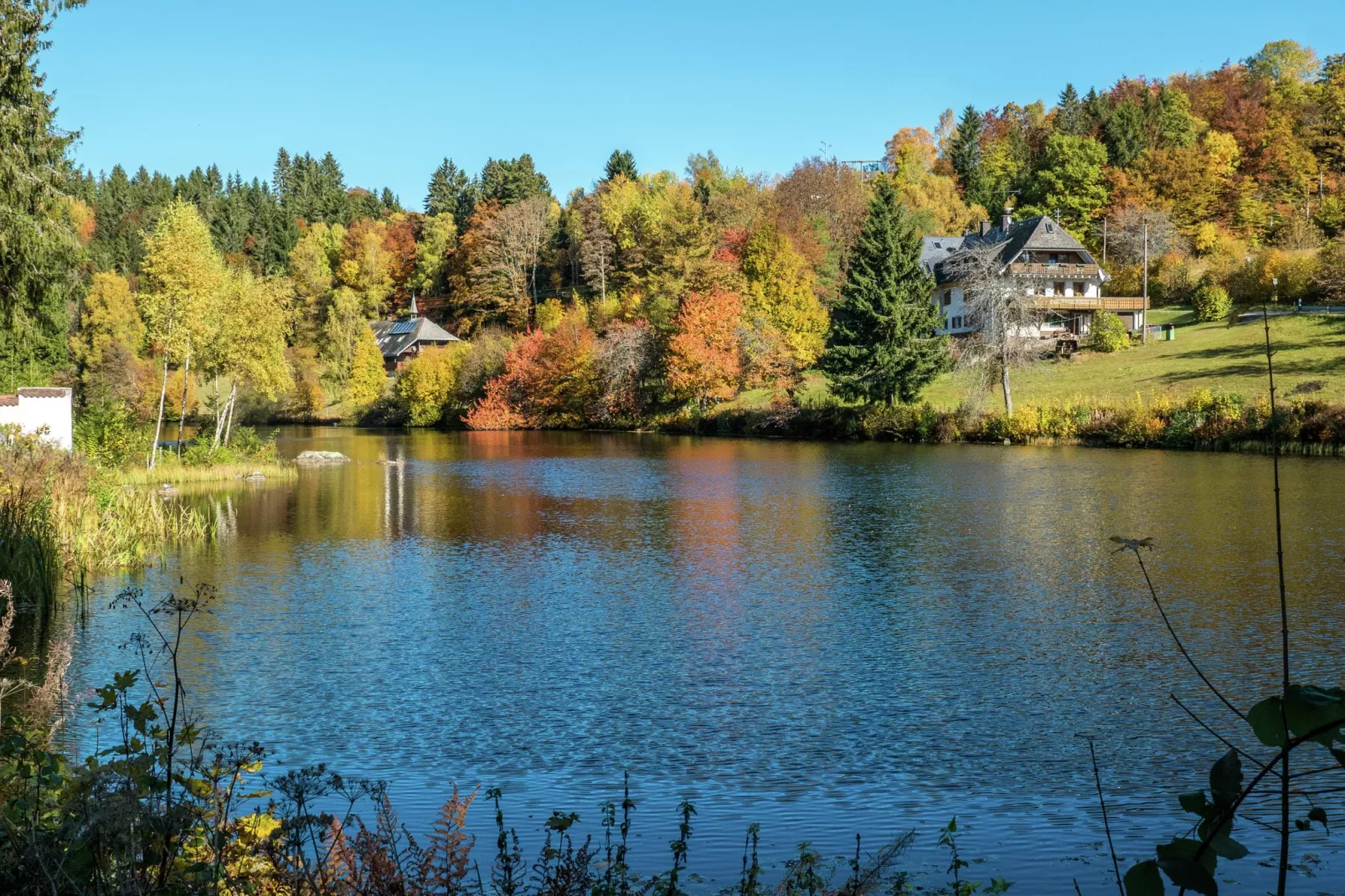 Altes Forsthaus-Gebieden zomer 1km