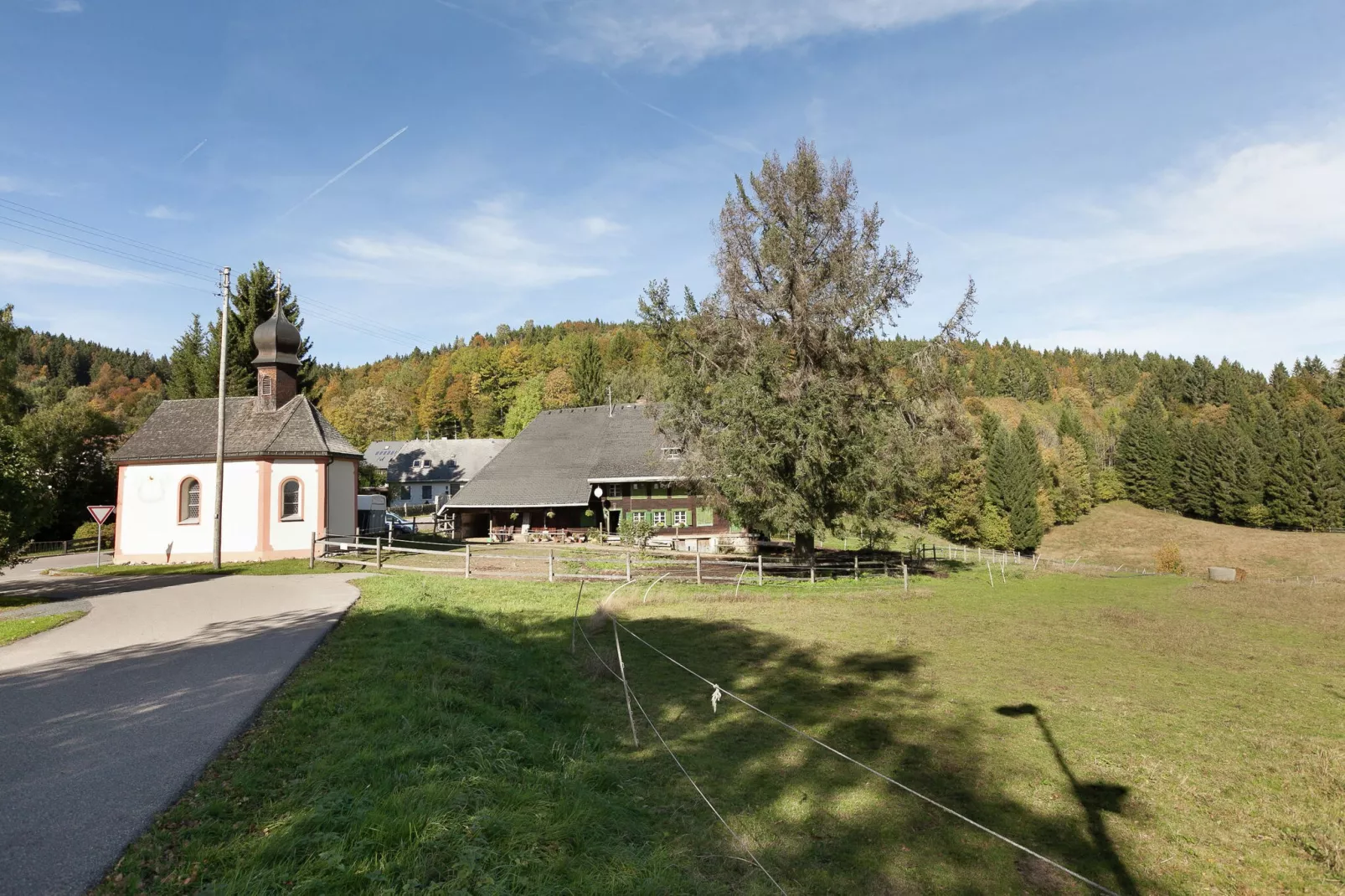 Altes Forsthaus-Gebieden zomer 1km