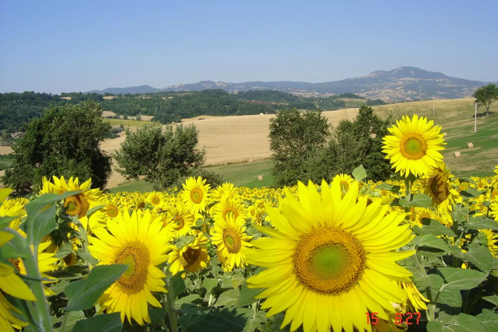 Il Caminetto-Uitzicht zomer