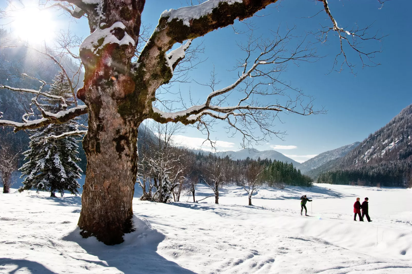 Moderne vakantiewoning in Ruhpolding met zwembad-Gebied winter 1km