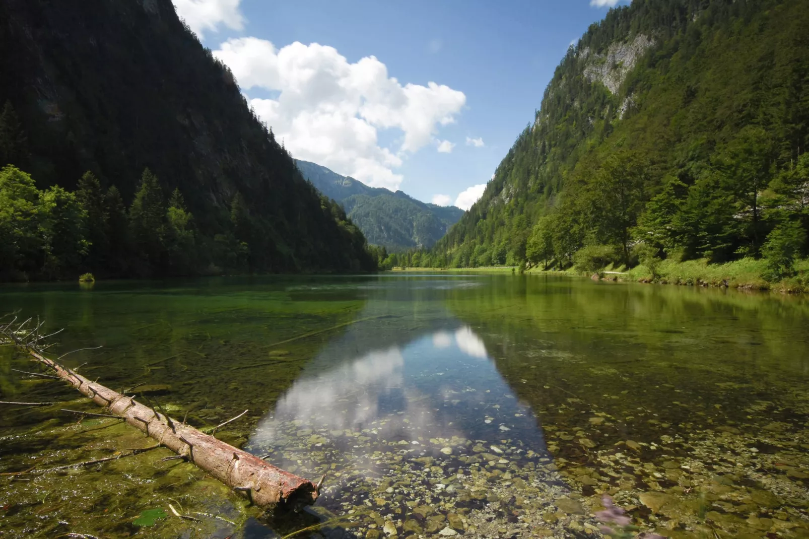 Im Chiemgau-Gebieden zomer 1km