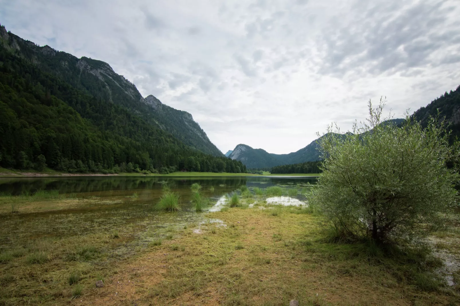 Im Chiemgau-Gebieden zomer 1km