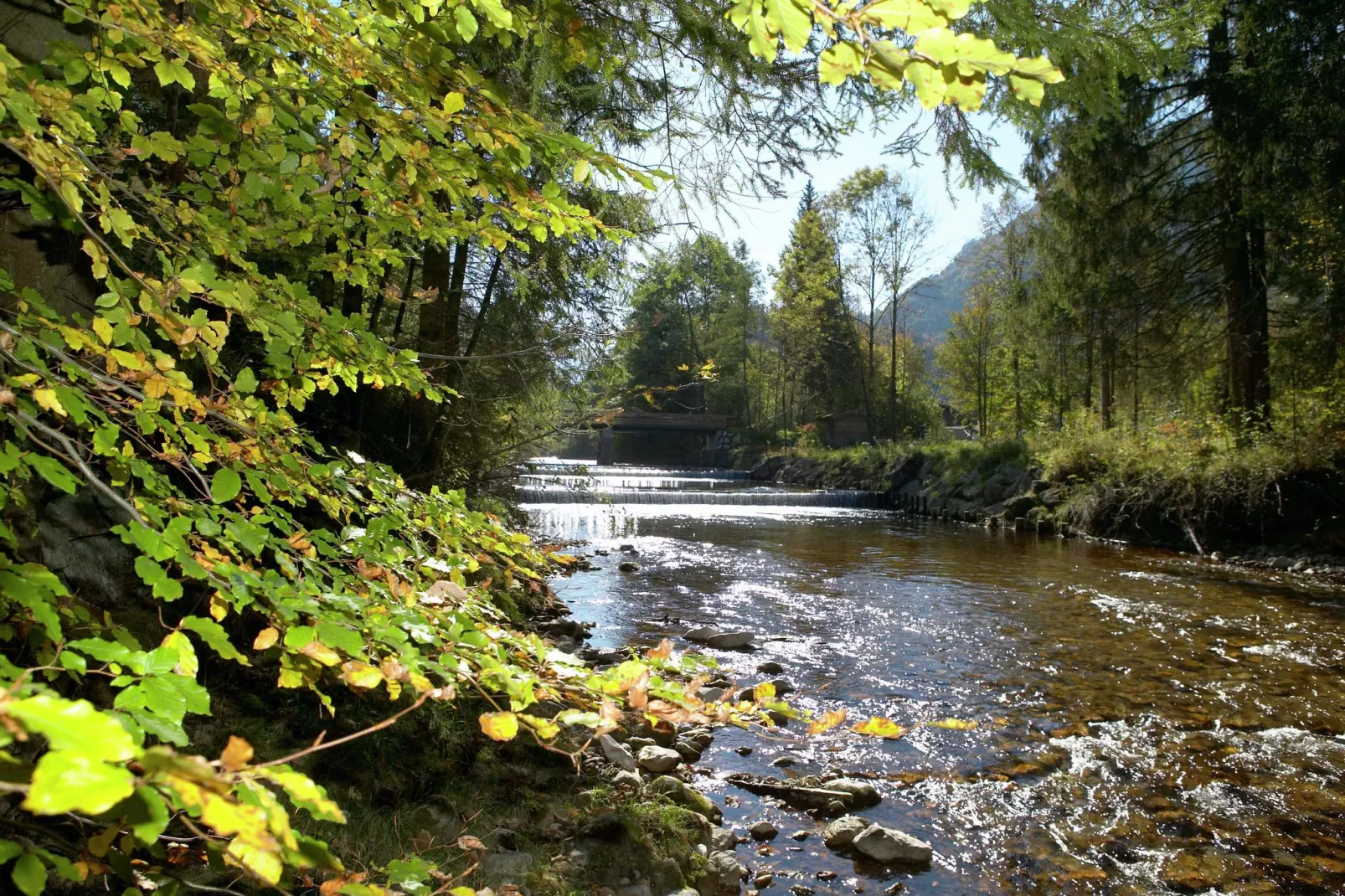 Im Chiemgau-Gebieden zomer 5km