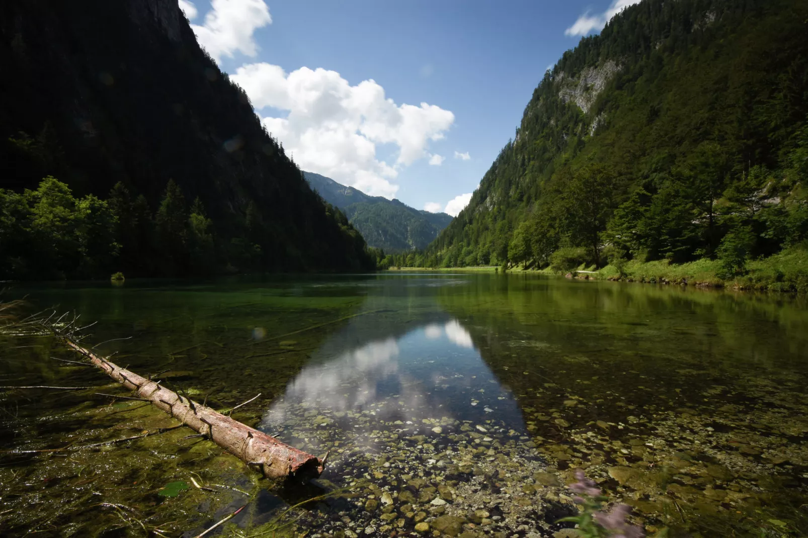 Im Chiemgau-Gebieden zomer 1km