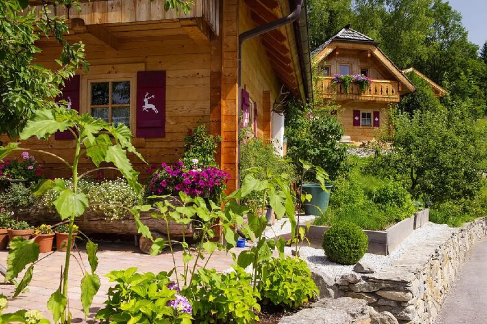 Naturdorf Oberkühnreit-Gebieden zomer 1km