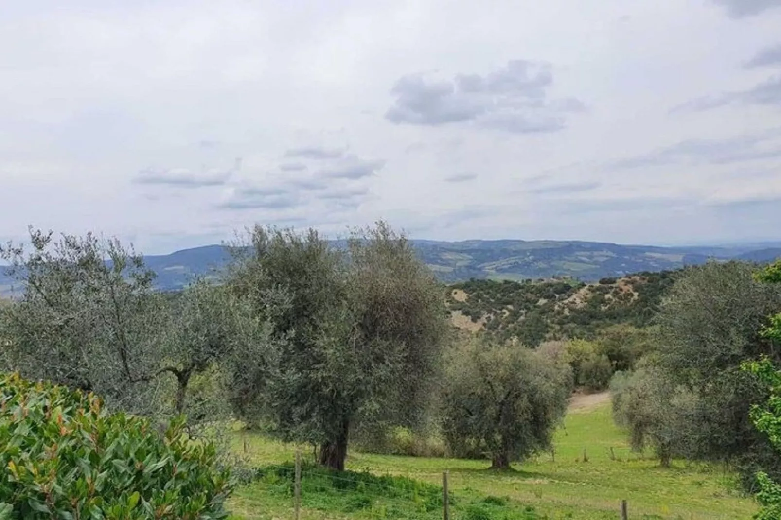 Appartamento Vista Tramonto-Tuinen zomer