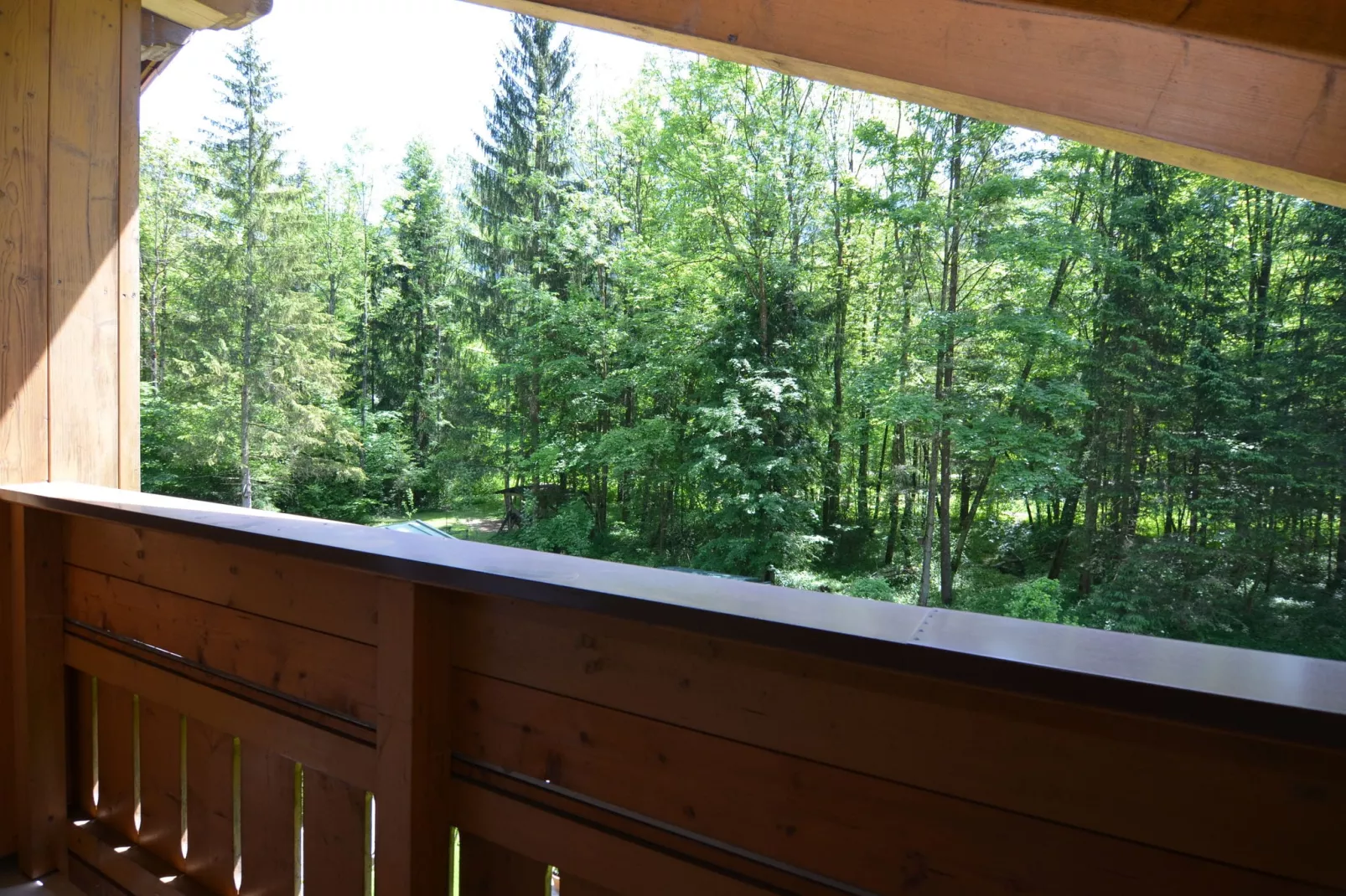 Schönau am Königssee-Uitzicht zomer