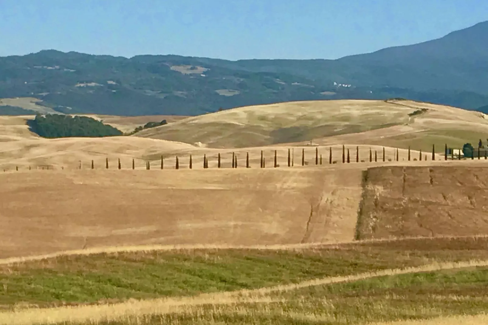 Era una Volta-Gebieden zomer 1km