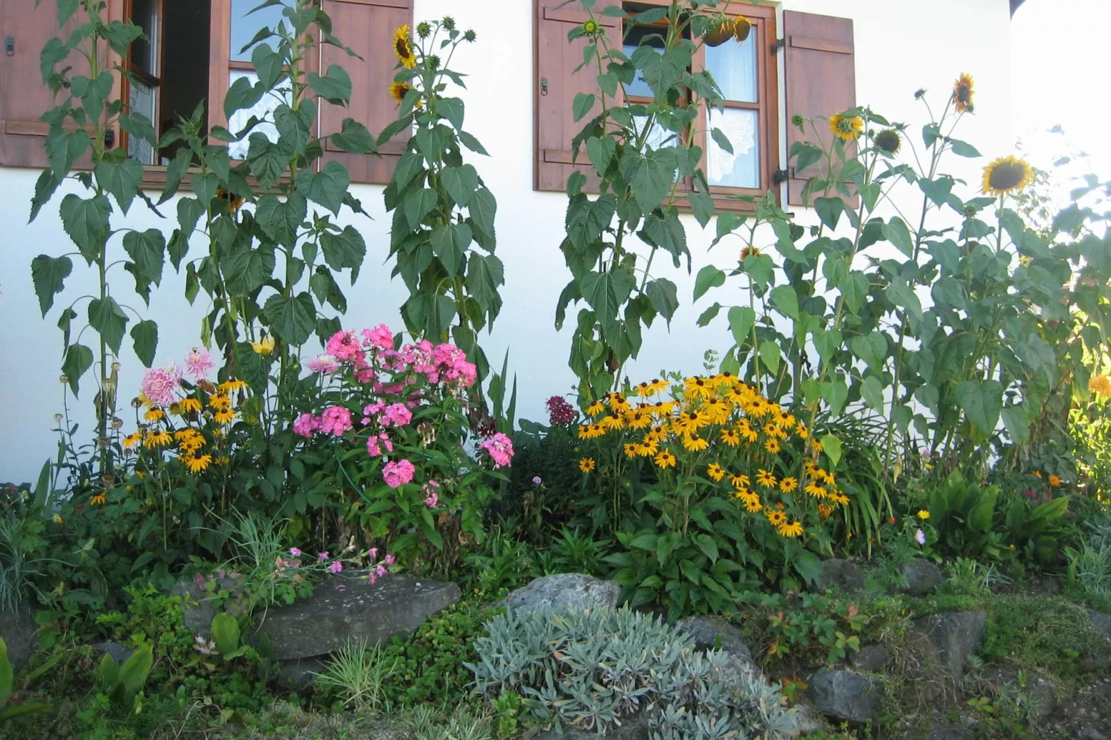 Im Pfaffenwinkel-Tuinen zomer