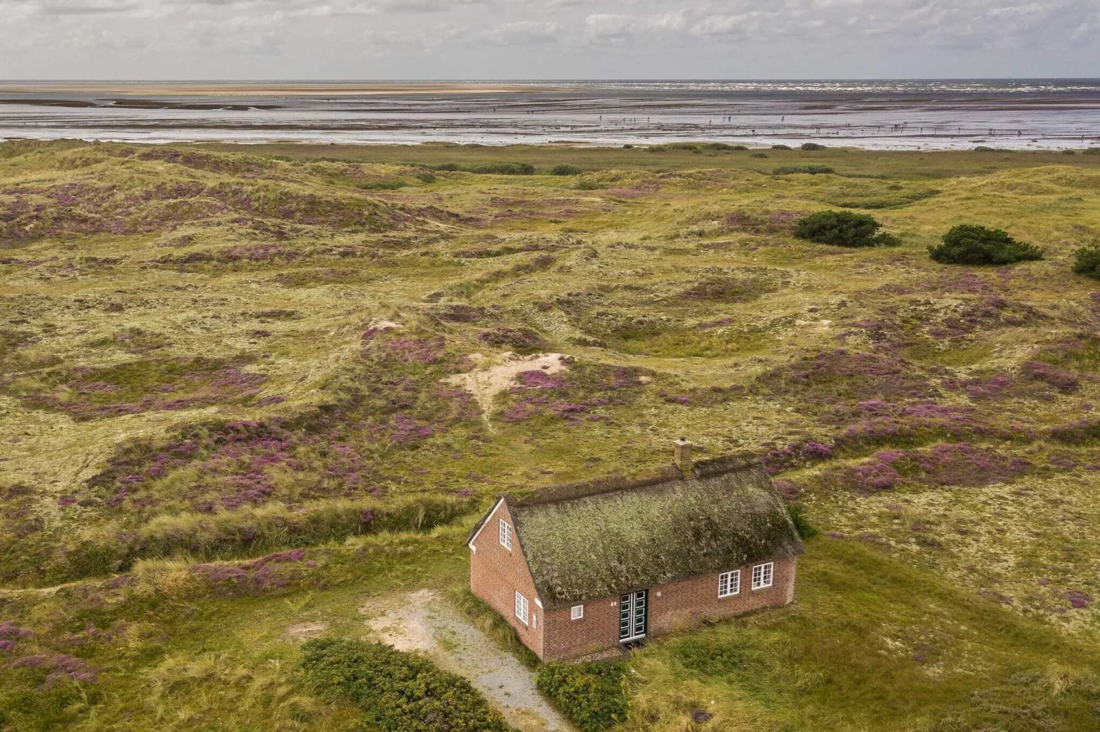 6 persoons vakantie huis in Fanø-Buitenlucht