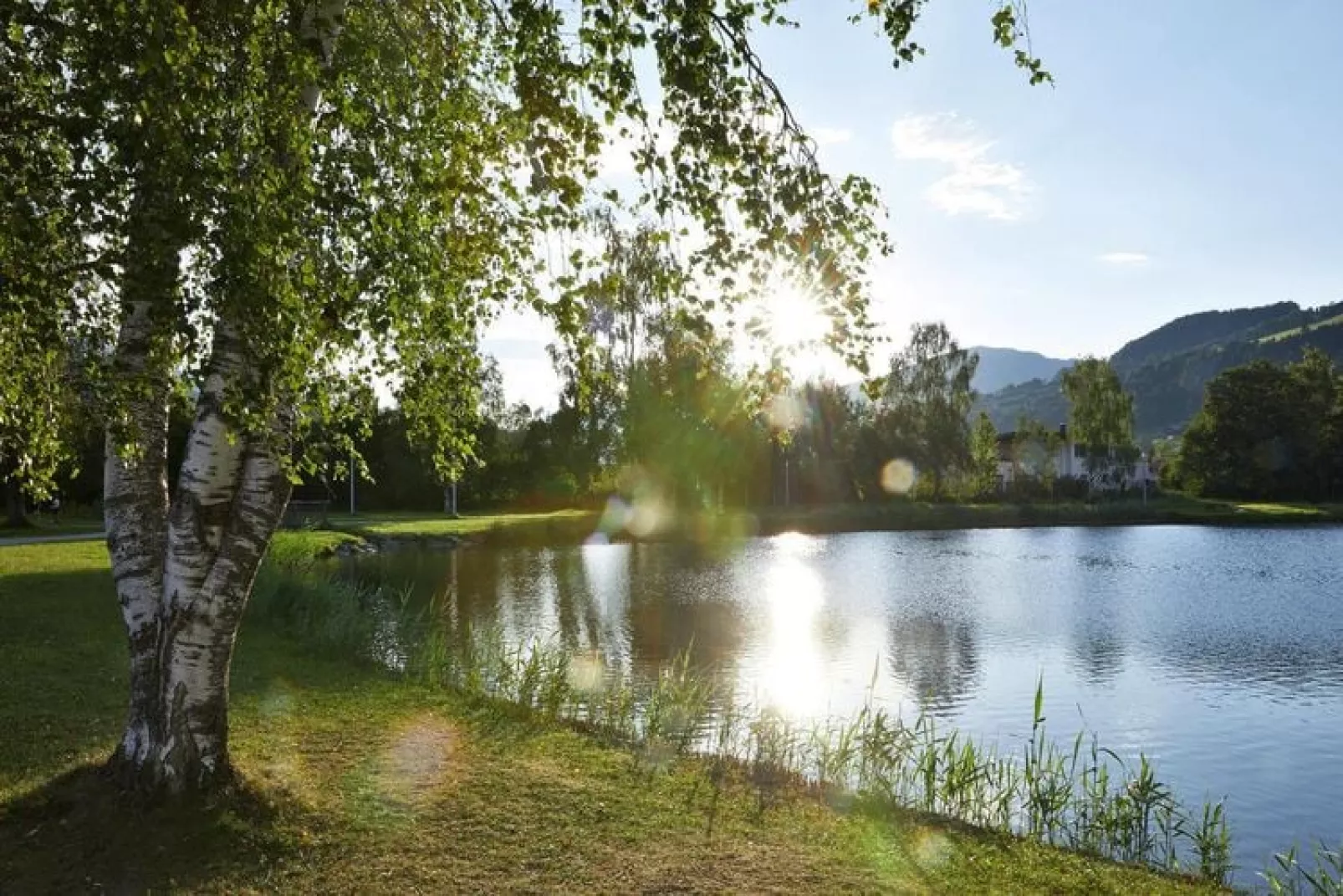 Ferienwohnung Rauchenbacher-Buitenkant zomer