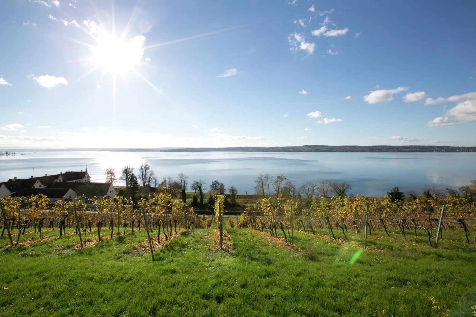 Am Bodensee-Gebieden zomer 5km