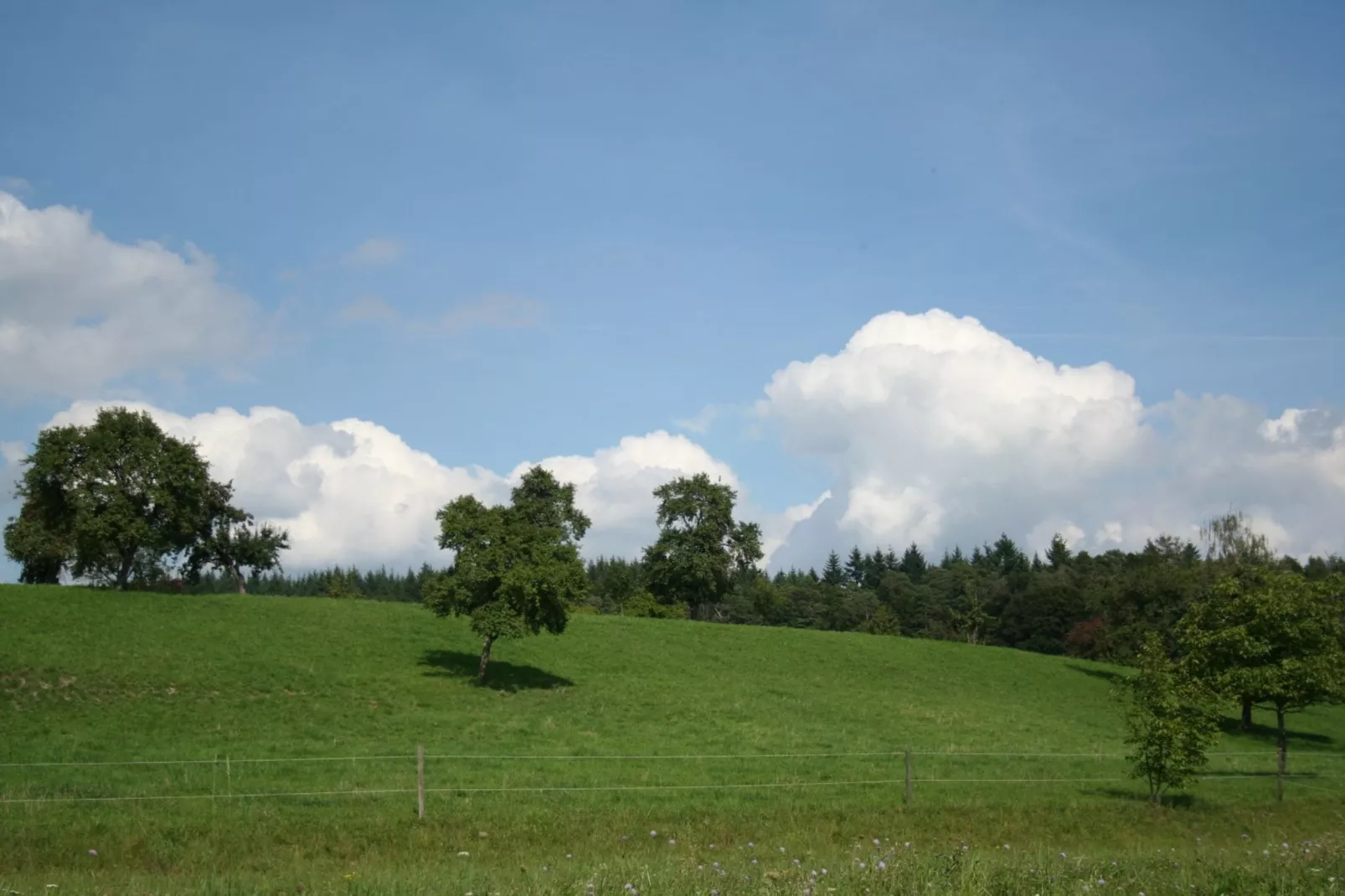 Am Bodensee-Gebieden zomer 20km