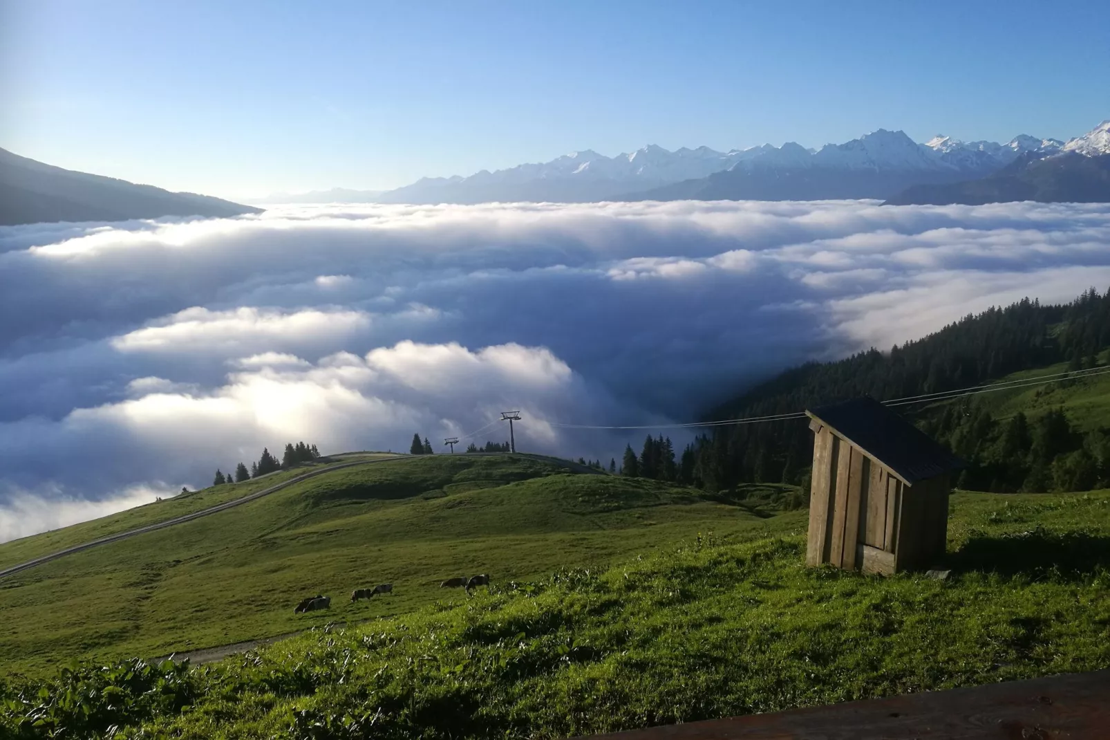 Almhütte Gipfelblick-Buitenkant zomer