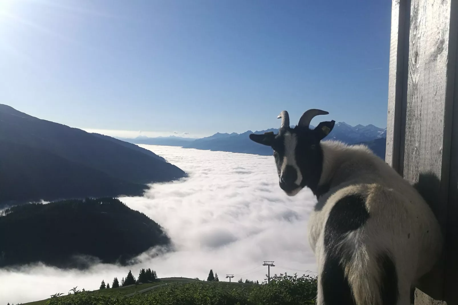 Almhütte Gipfelblick-Uitzicht zomer