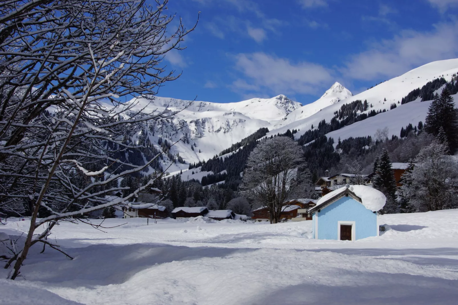 Chalet Glemmerl Mountain Lodge-Gebied winter 5km