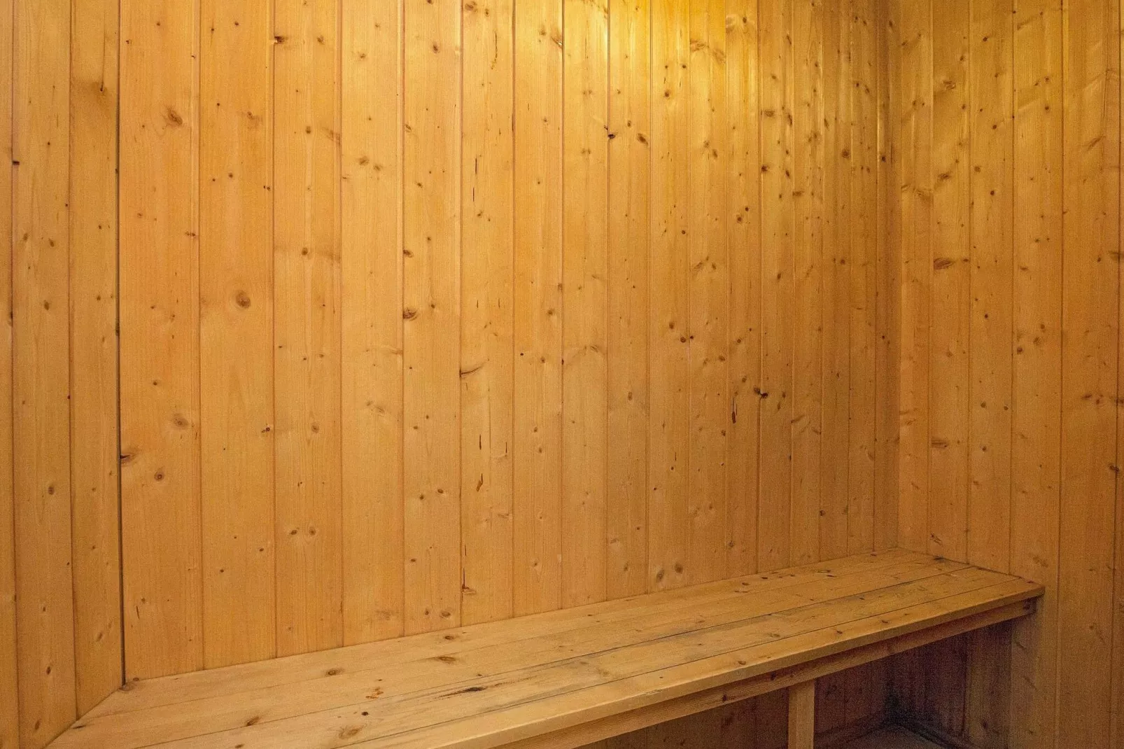 16 persoons vakantie huis in Thyholm-Sauna