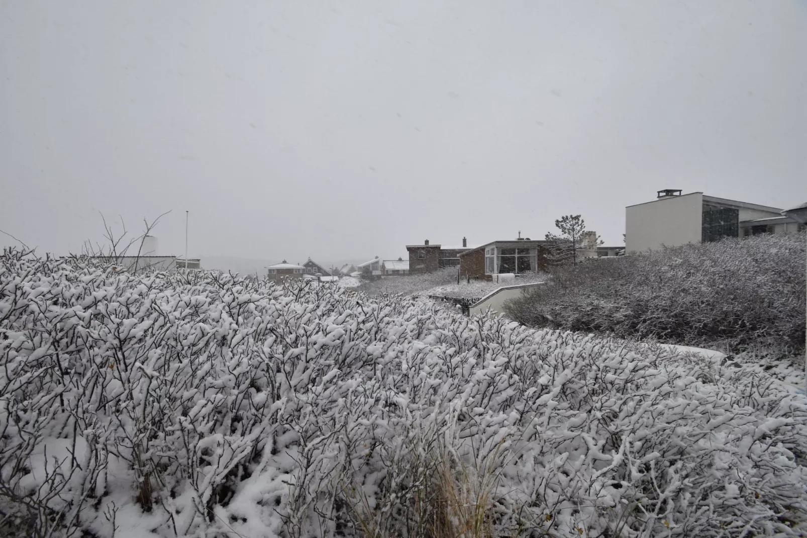 Beachhouse I-Uitzicht winter