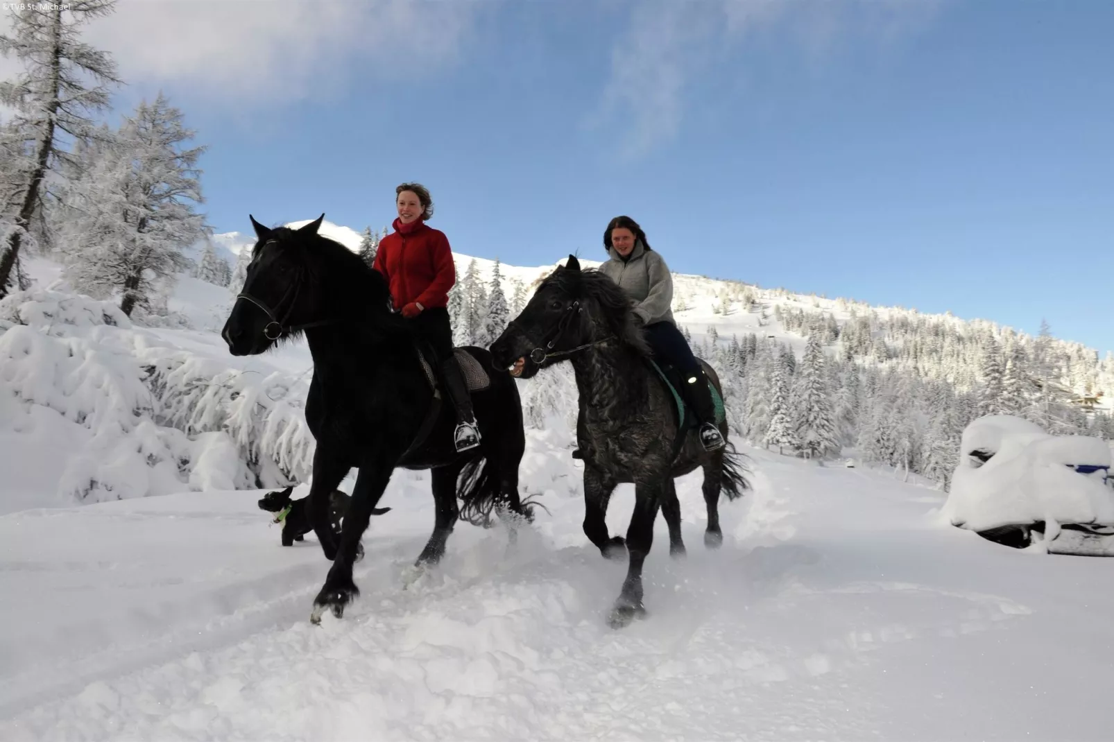 Appartement Martiniberg-Gebied winter 5km