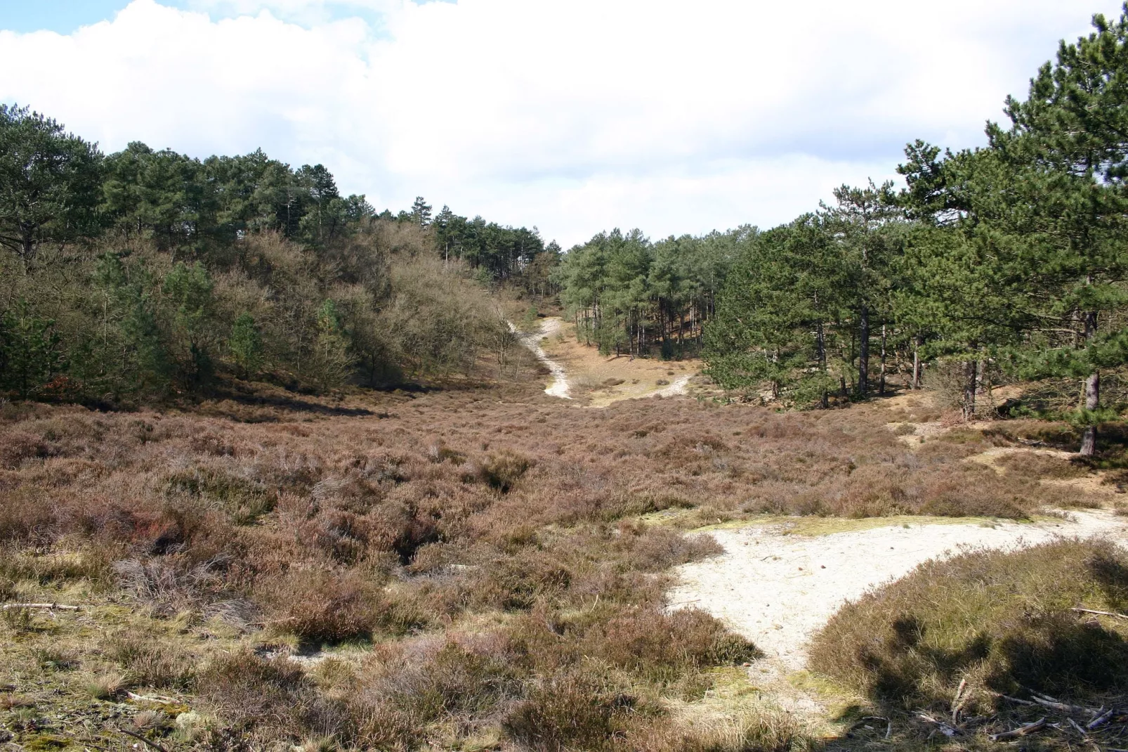 Park Scorleduyn 3-Gebieden zomer 5km