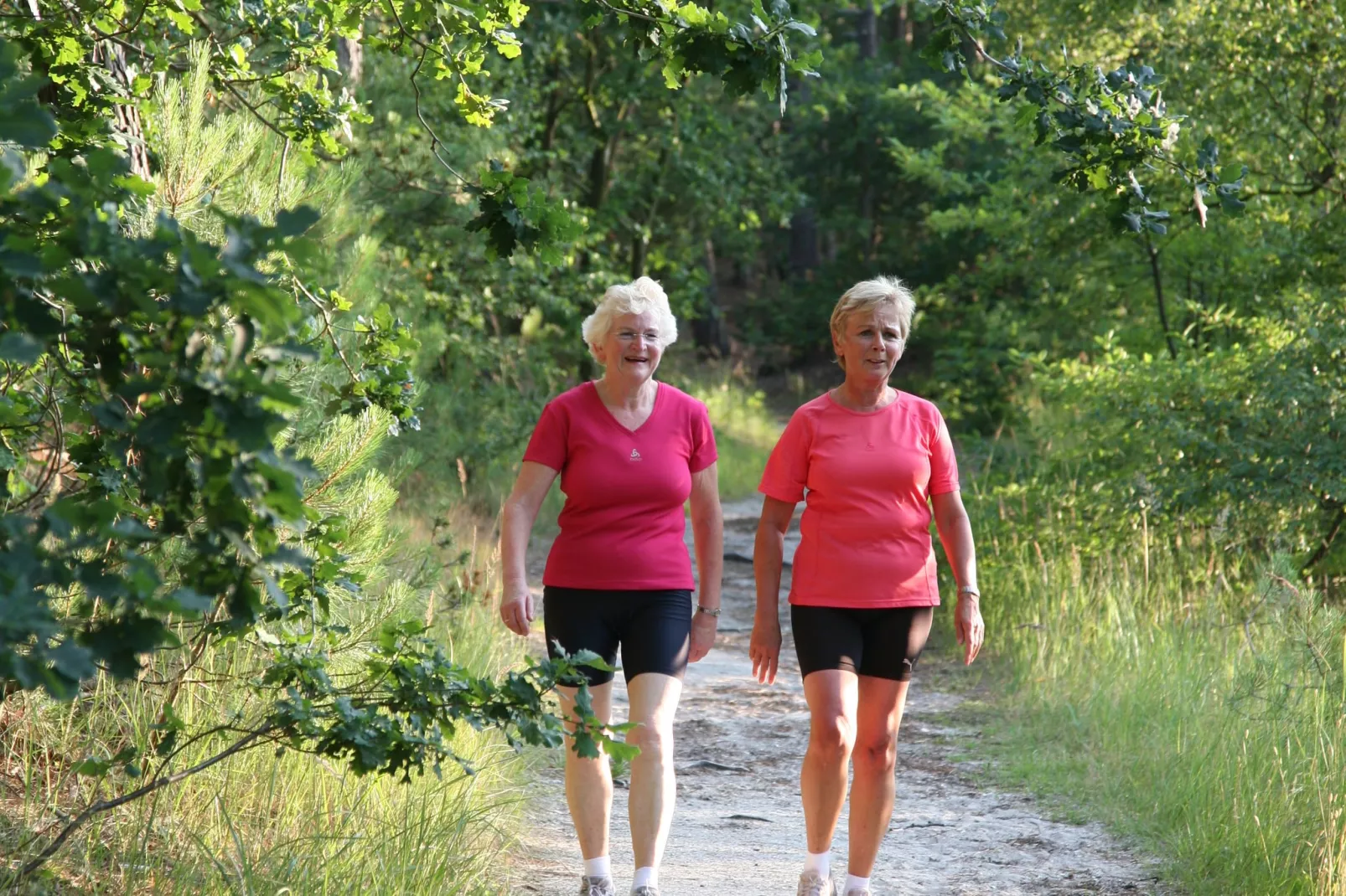 Park Scorleduyn 3-Gebieden zomer 5km