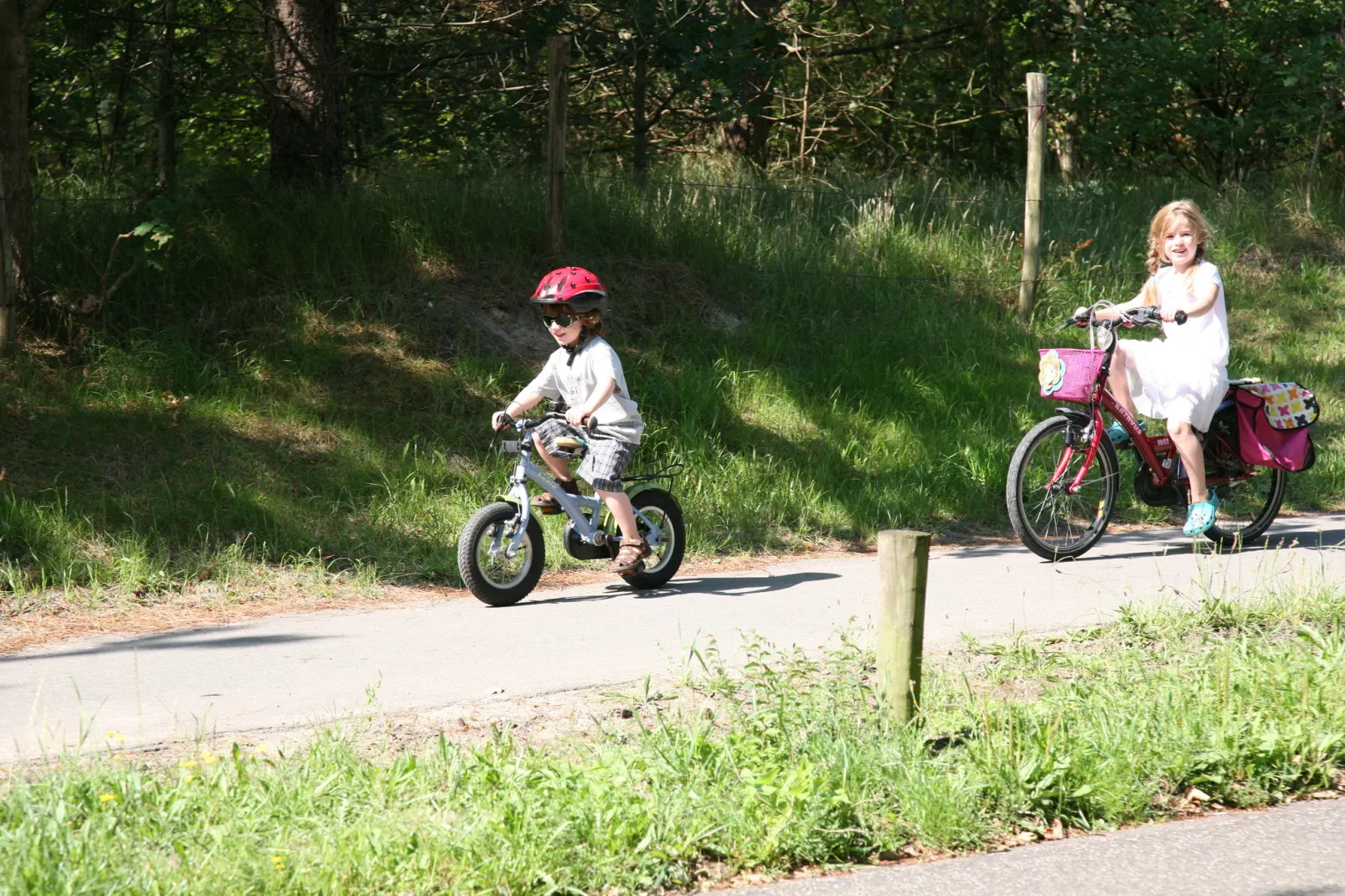 Park Scorleduyn 3-Gebieden zomer 5km