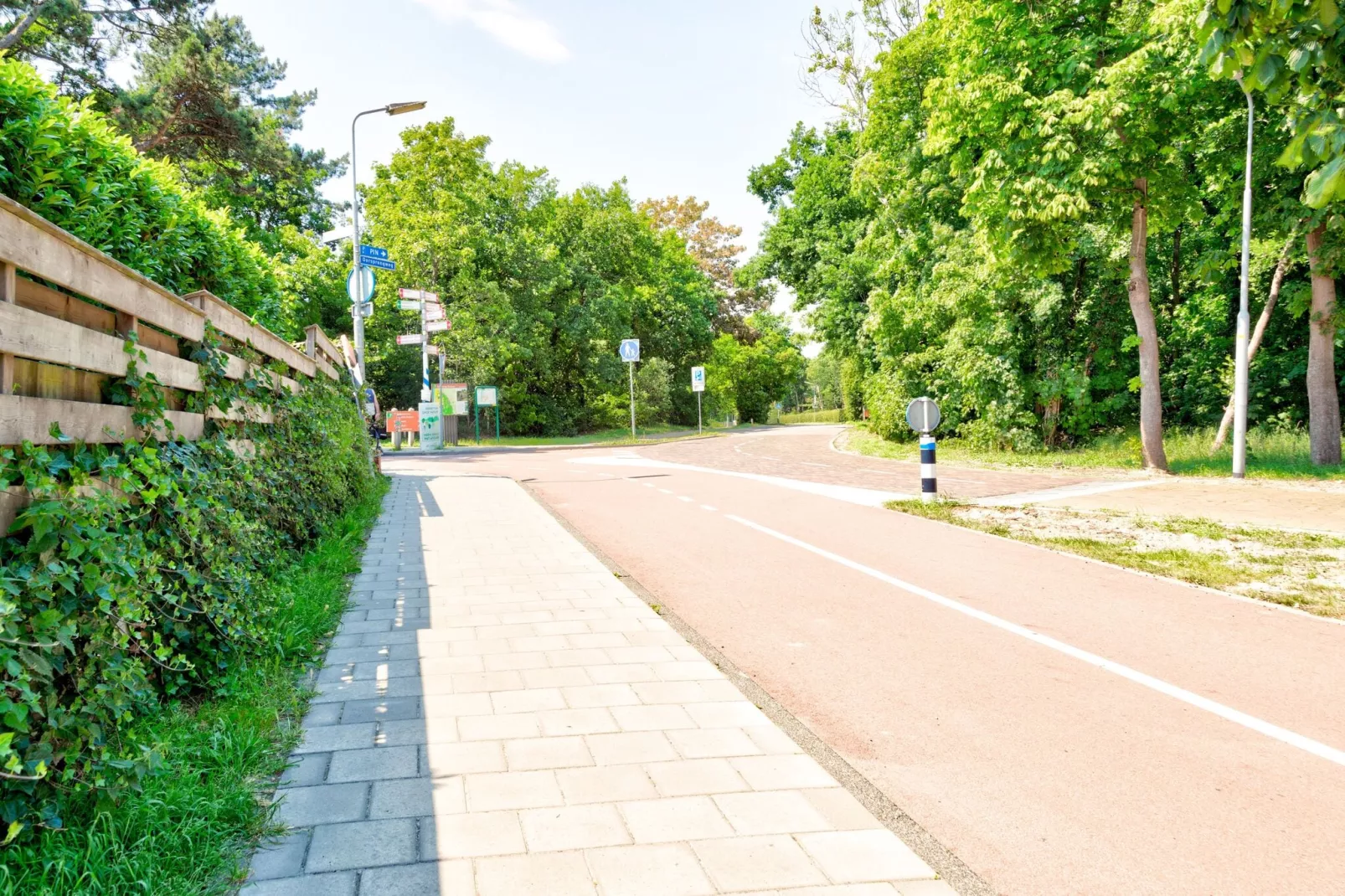 Bosberg-Gebieden zomer 1km