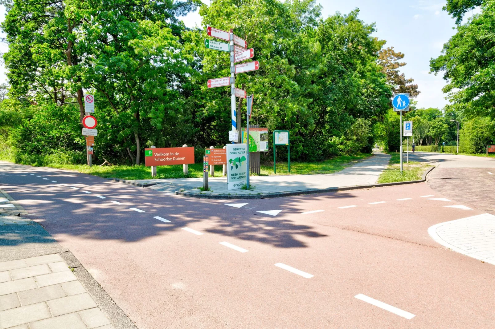 Bosberg-Gebieden zomer 1km