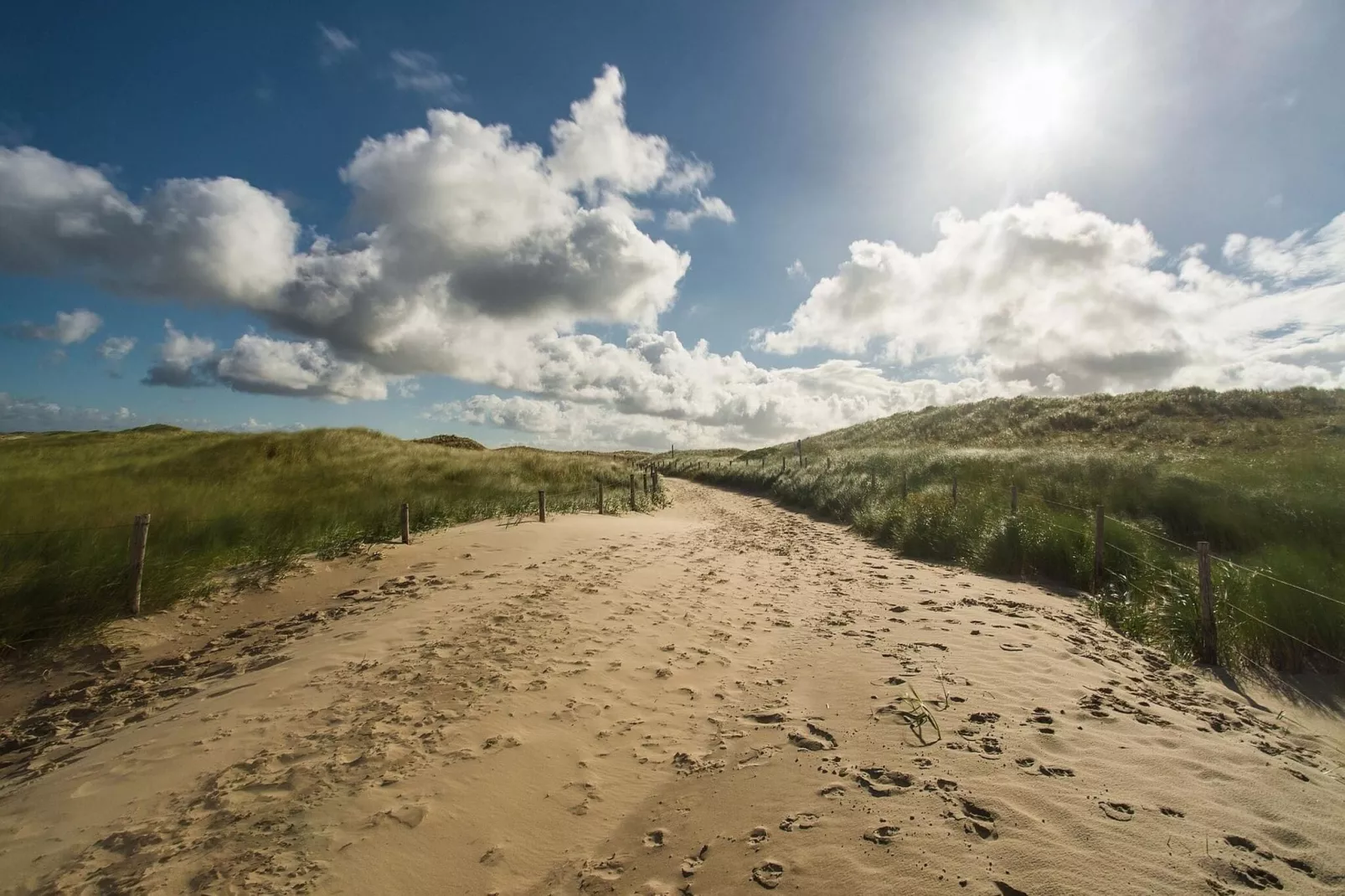 Resort Koningshof 1-Gebieden zomer 20km