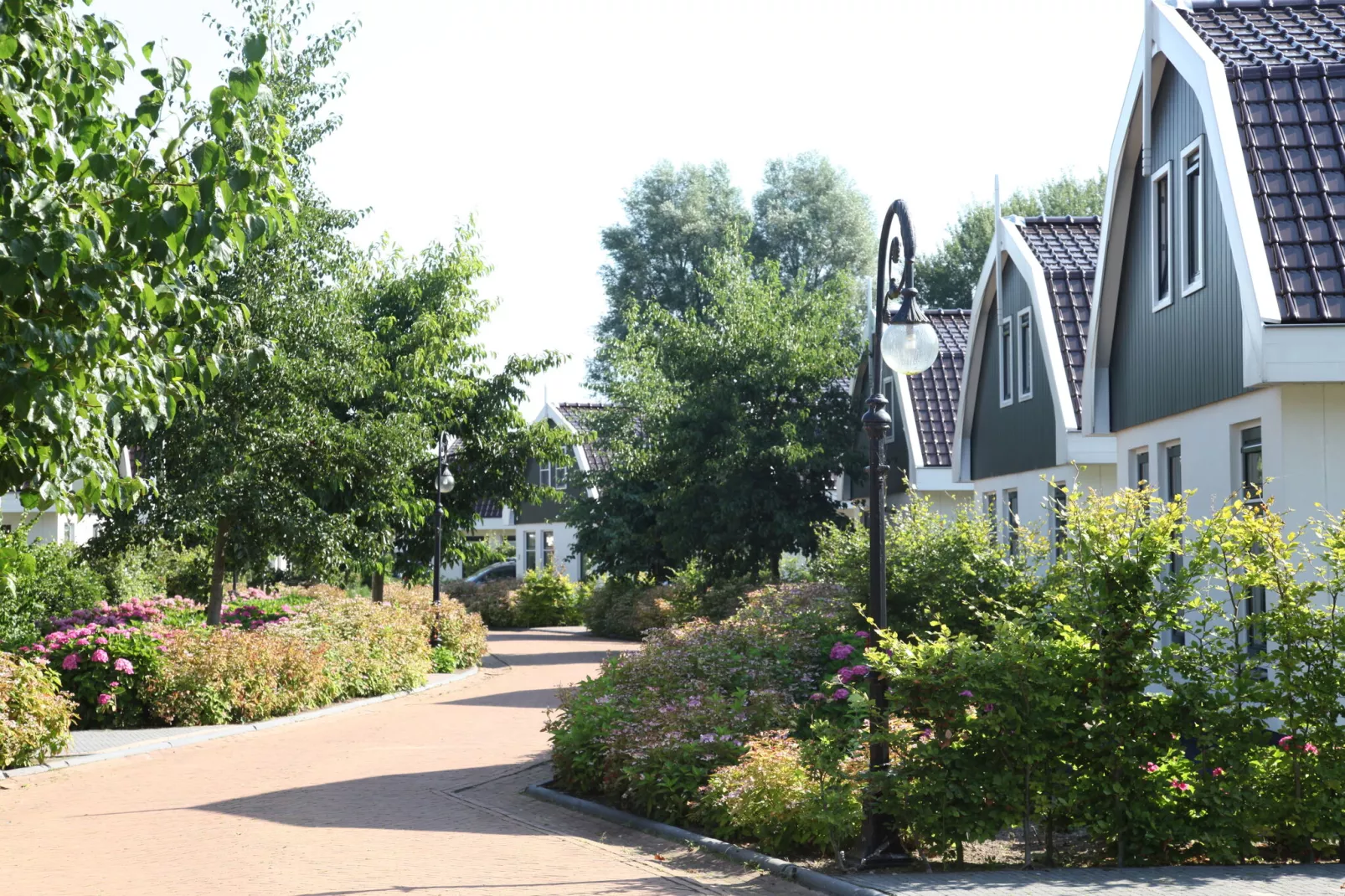 Resort Koningshof 3-Buitenkant zomer