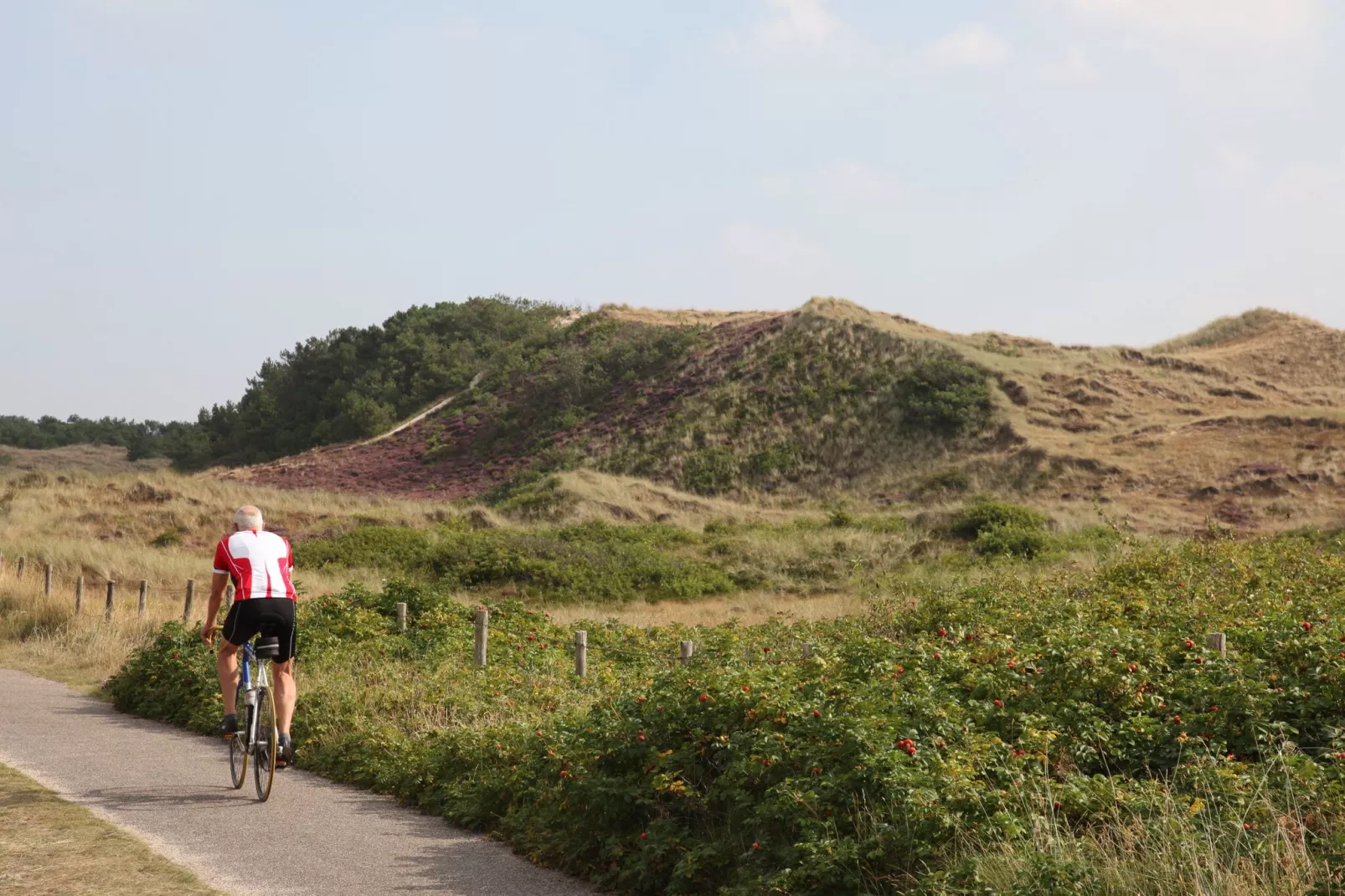 Resort Koningshof 3-Gebieden zomer 5km