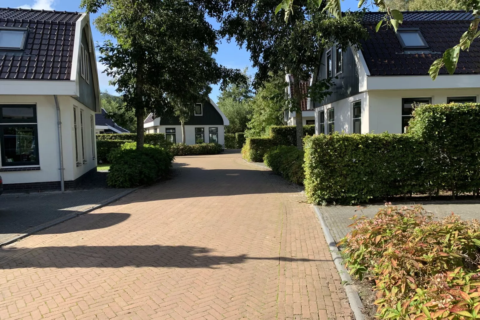 Resort Koningshof 4-Buitenkant zomer