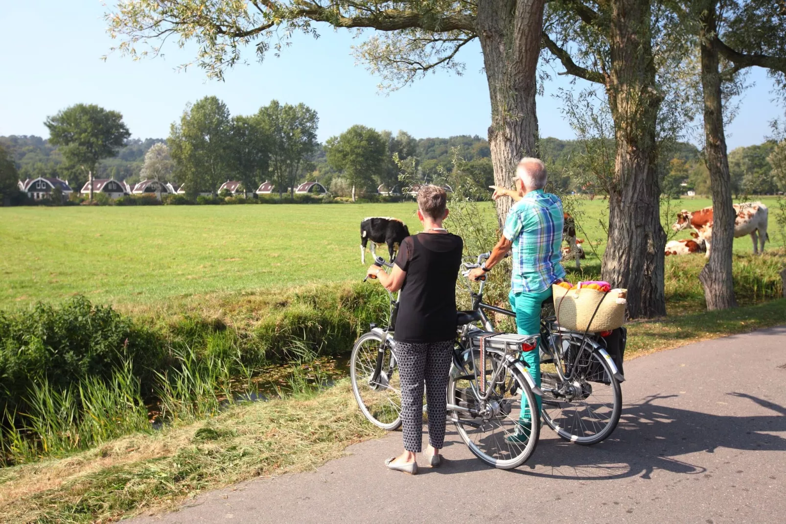 Resort Koningshof 5-Gebieden zomer 1km