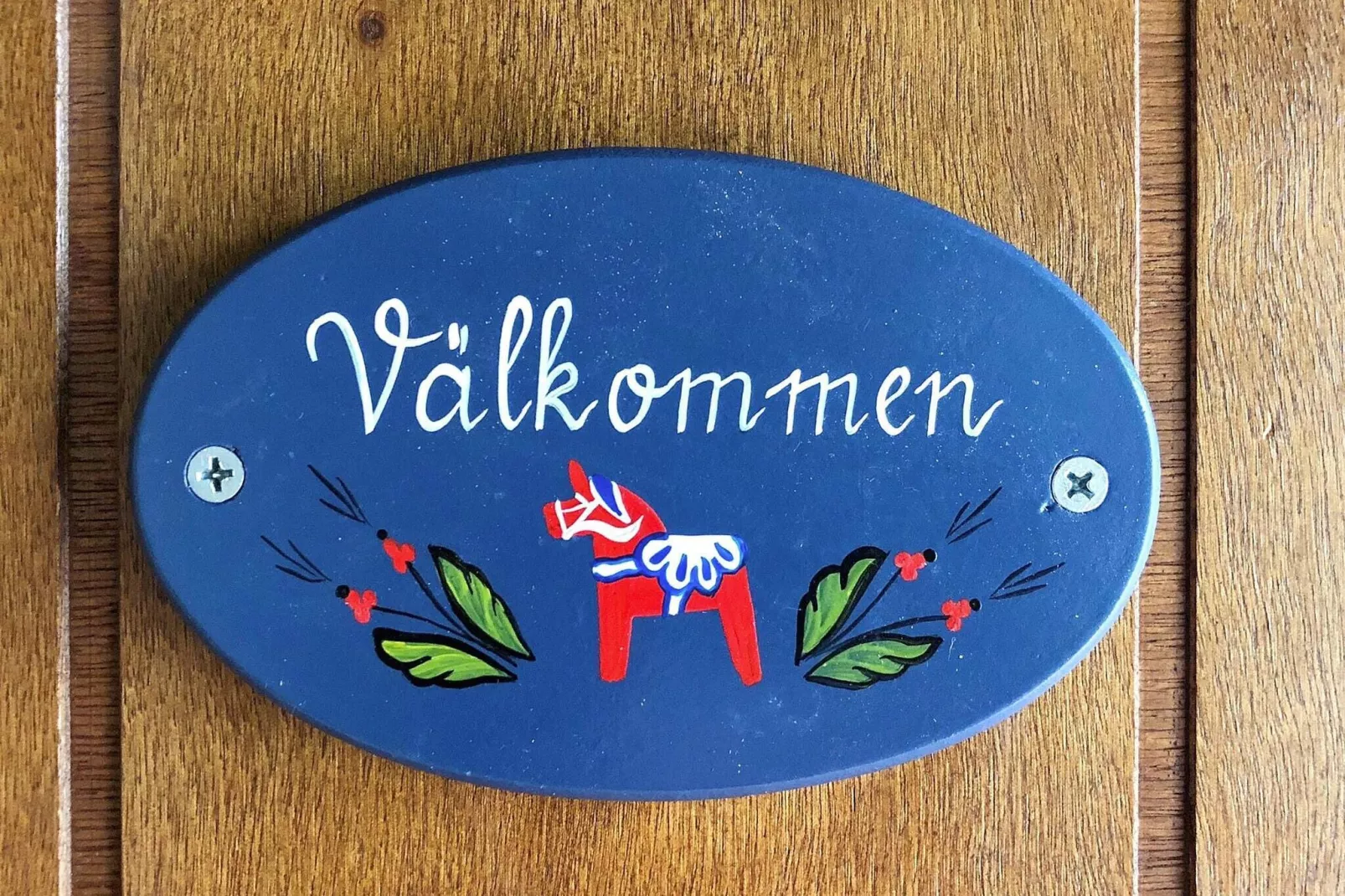 4 persoons vakantie huis in SÄLEN-By Traum-Niet-getagd