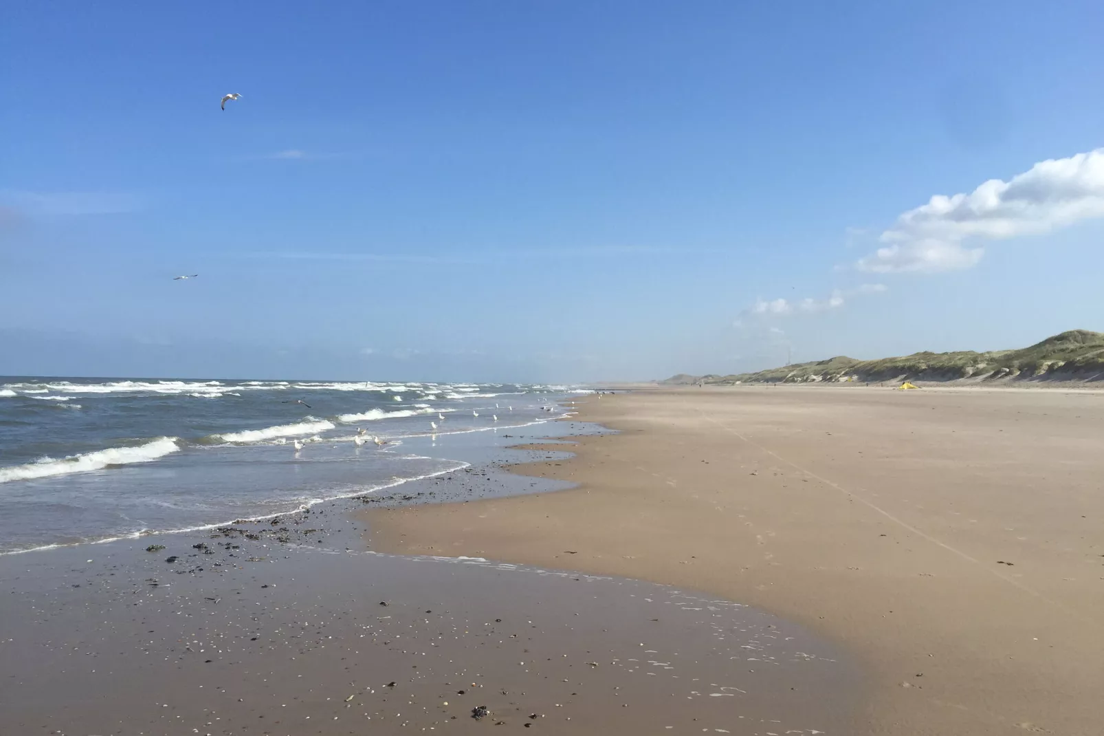 Kalae-Gebieden zomer 20km