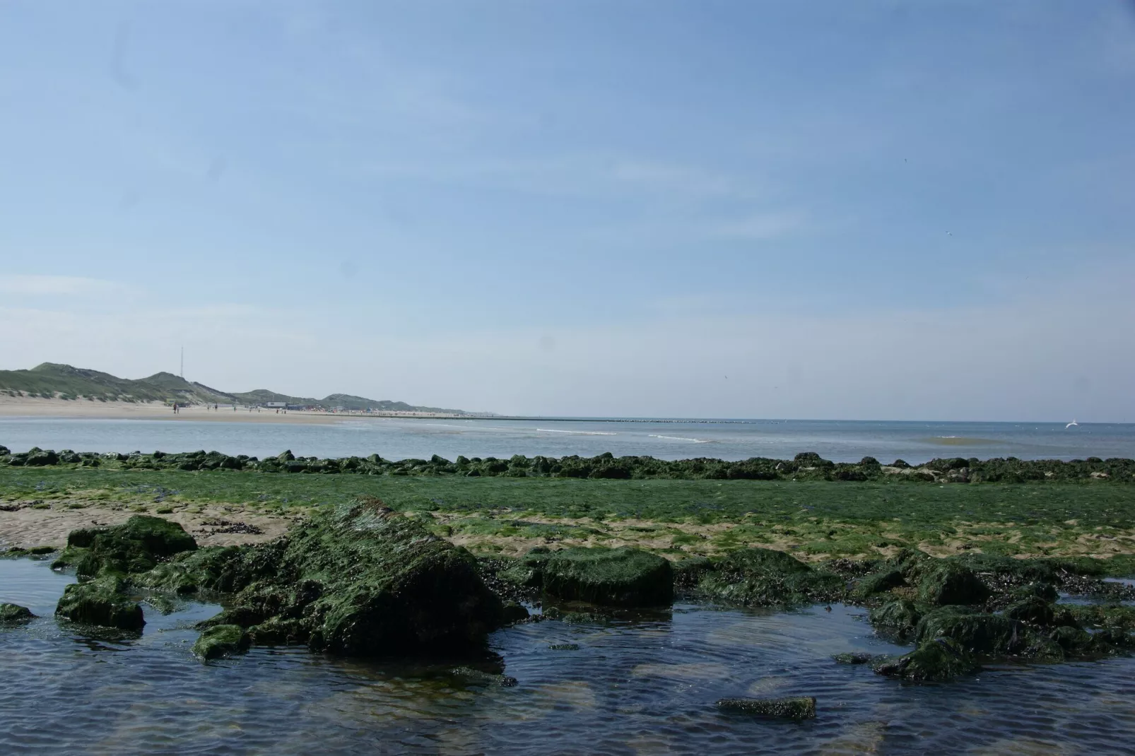 Kalae-Gebieden zomer 20km