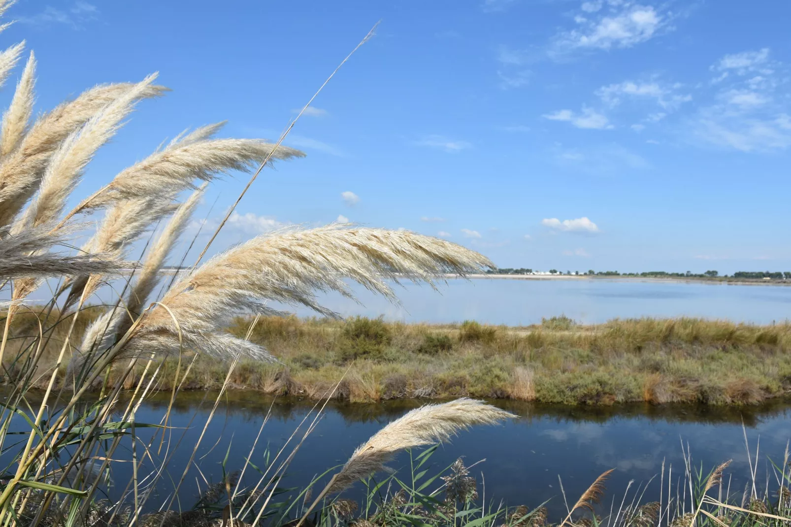 Villa Camargue-Sfeer