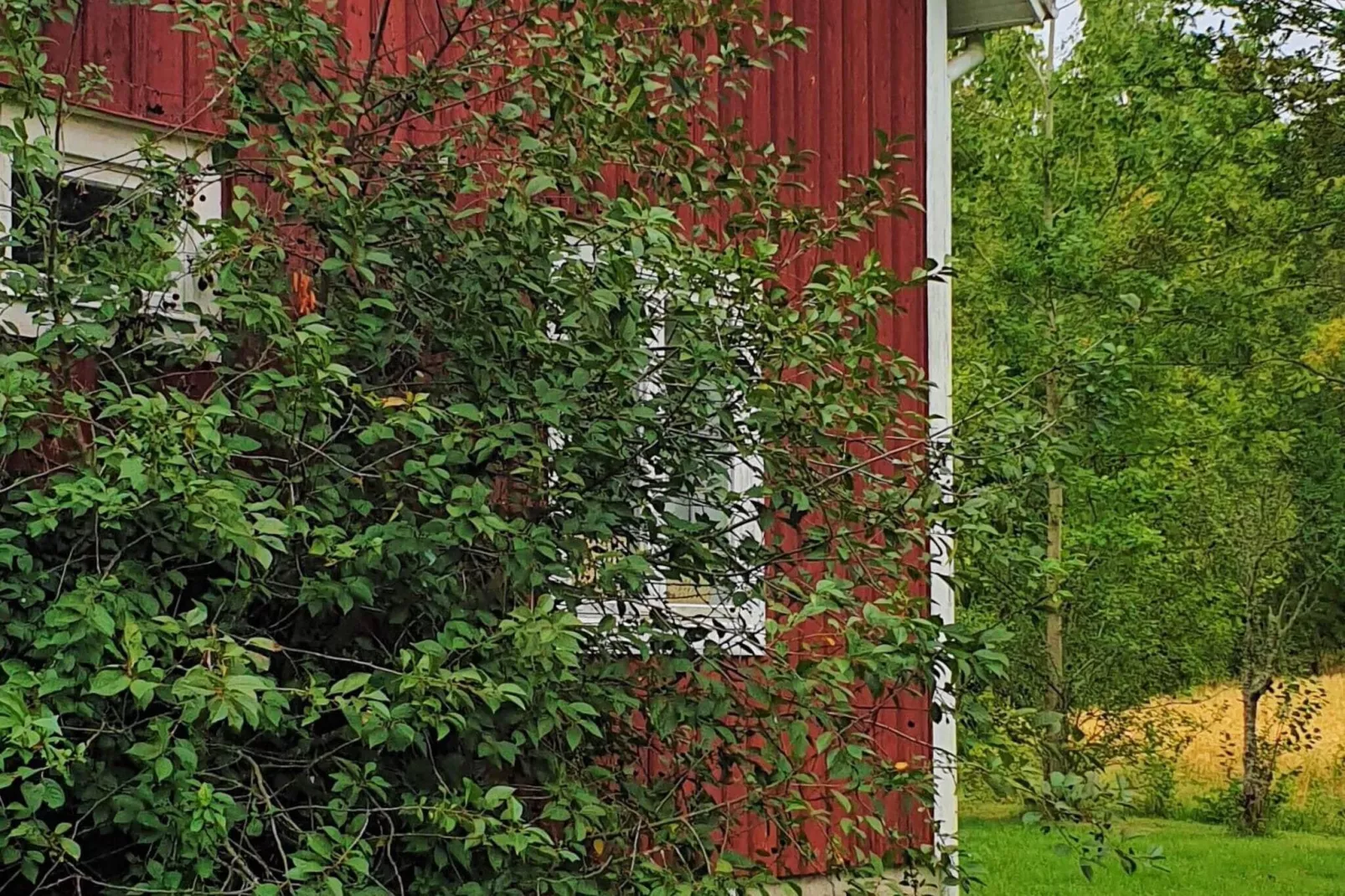 4 persoons vakantie huis in JÄRVSÖ-By Traum-Buitenlucht