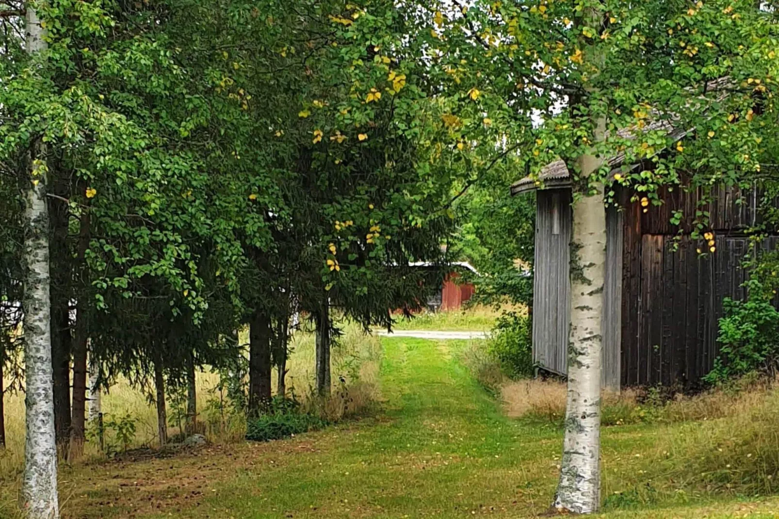 4 persoons vakantie huis in JÄRVSÖ-By Traum