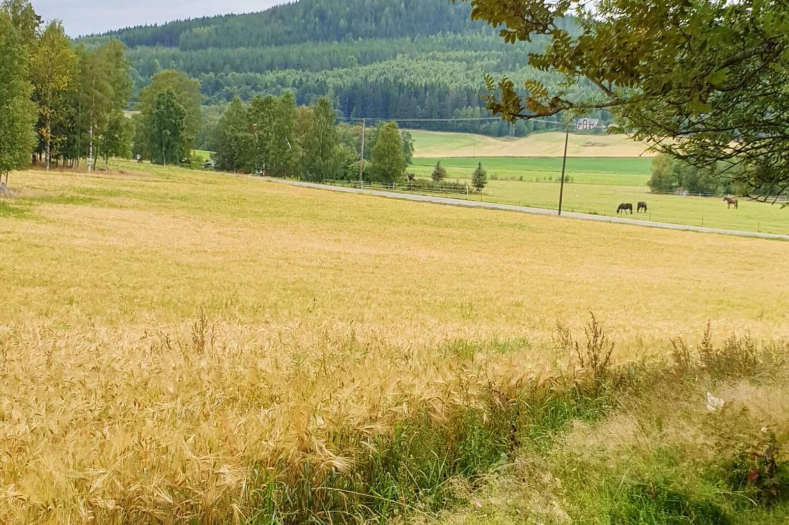 4 persoons vakantie huis in JÄRVSÖ-By Traum-Binnen