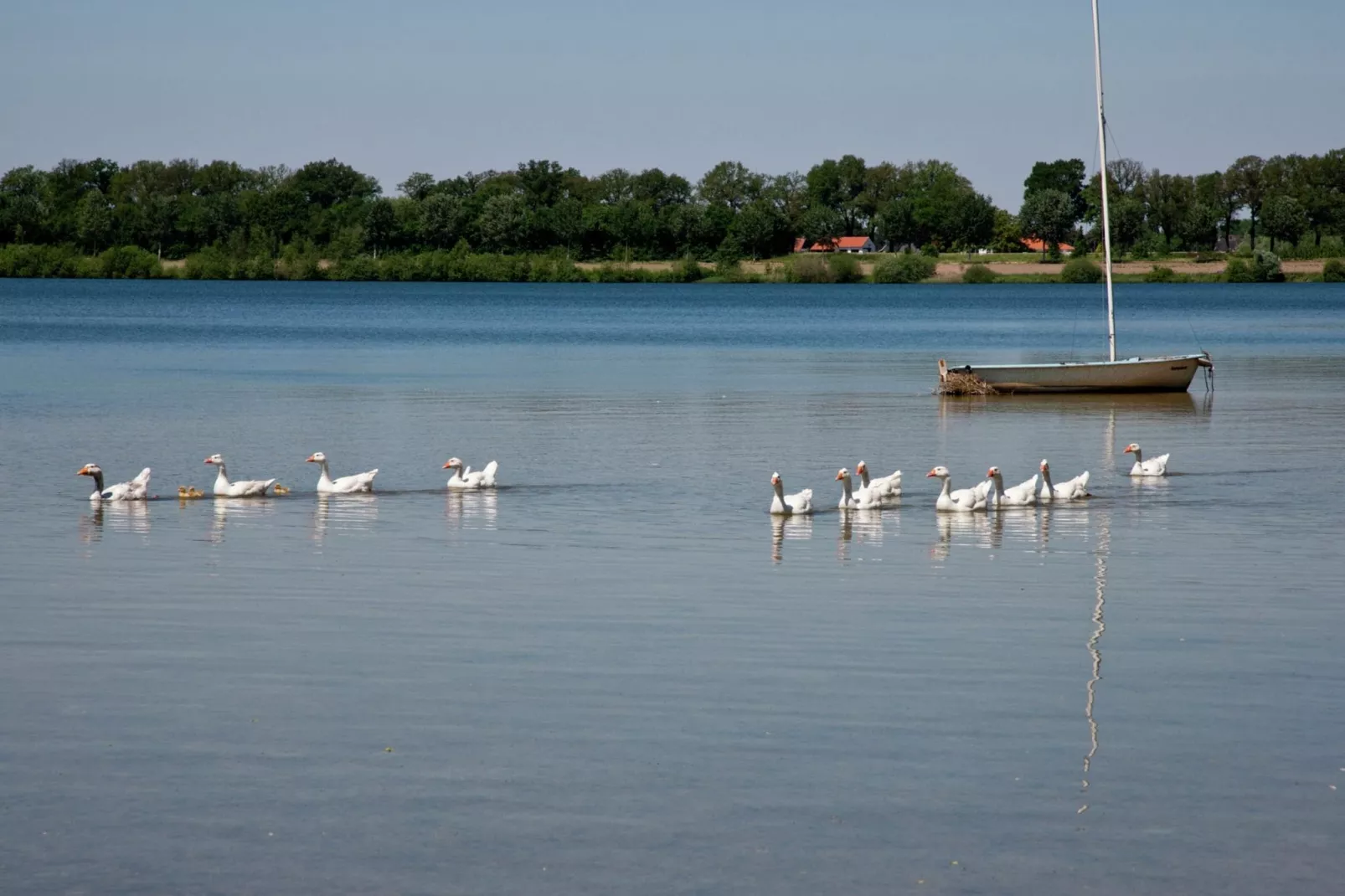 Maaspark Boschmolenplas 1-Gebieden zomer 1km