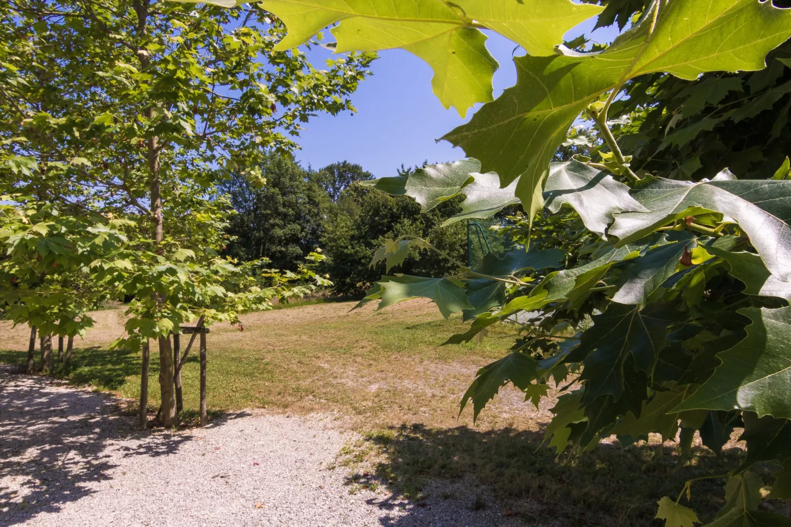 La Petite Maison-Uitzicht zomer