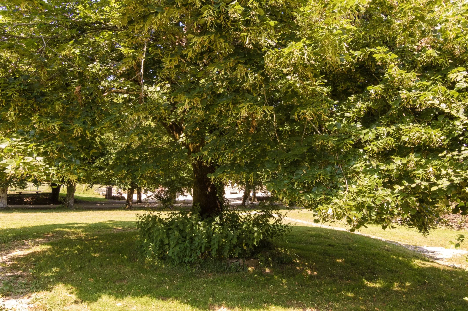 Le Grand Gite du Chateau-Uitzicht zomer