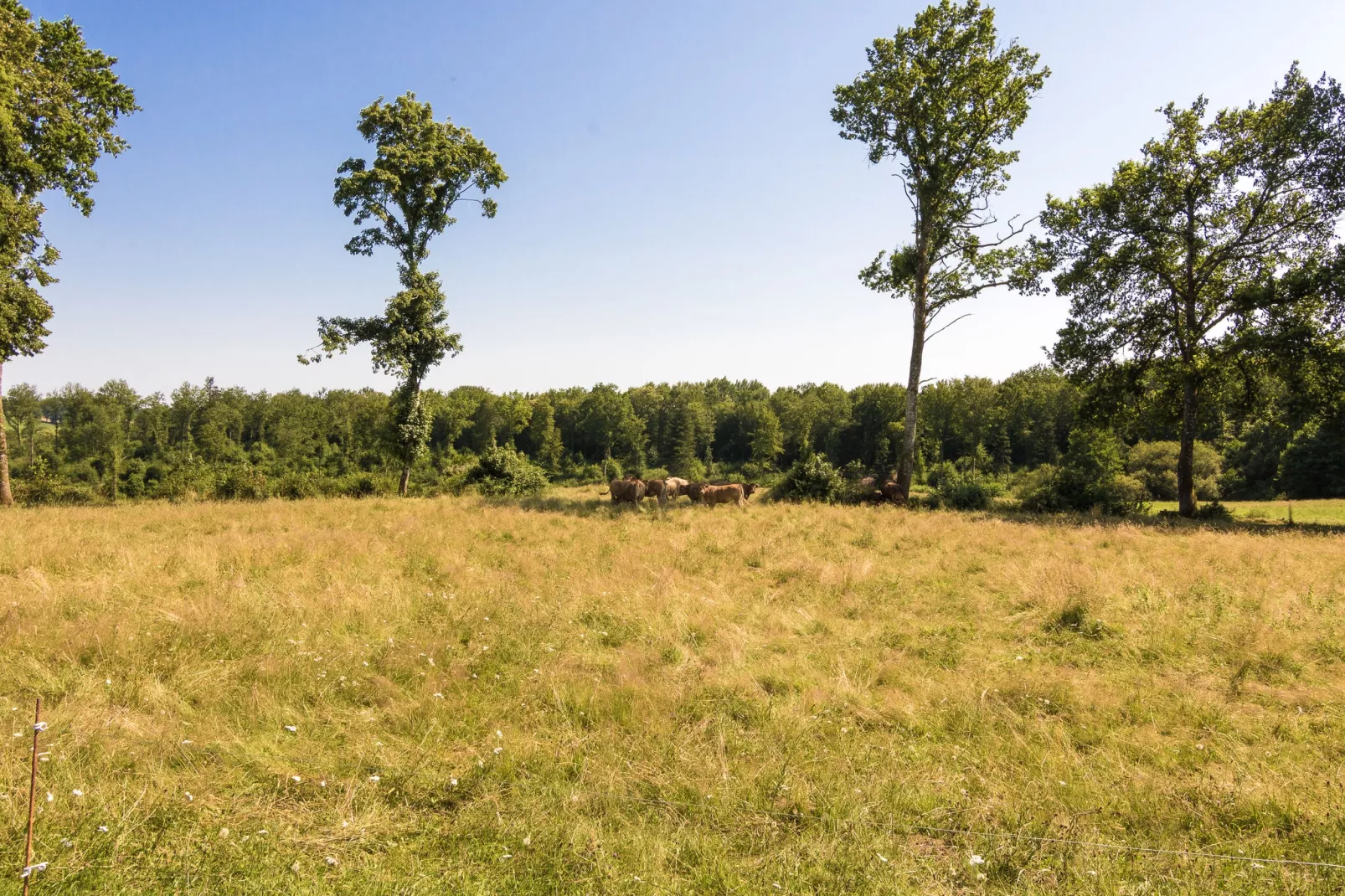 Chambre Rouge-Gebieden zomer 5km