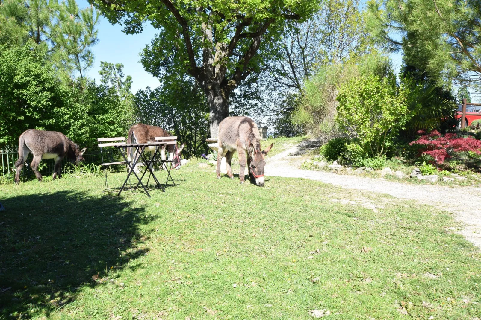 Gite 2 - Pont de Barret 4pers-Tuinen zomer