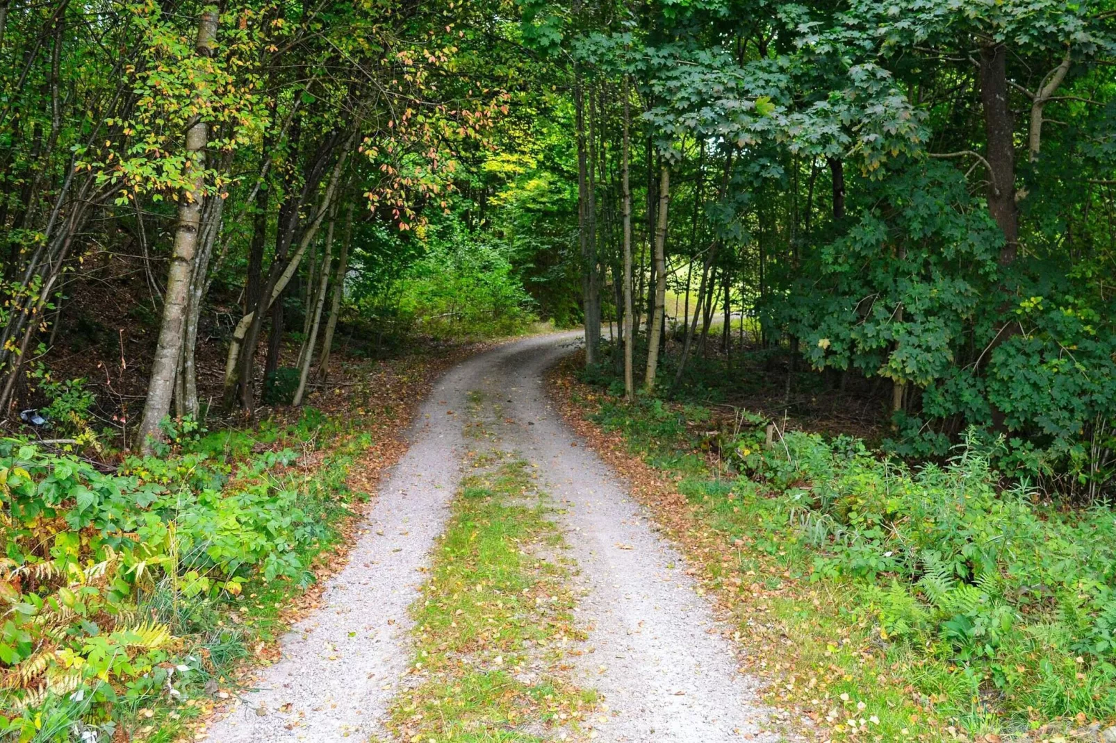 7 persoons vakantie huis in Vittsjö-By Traum-Buitenlucht