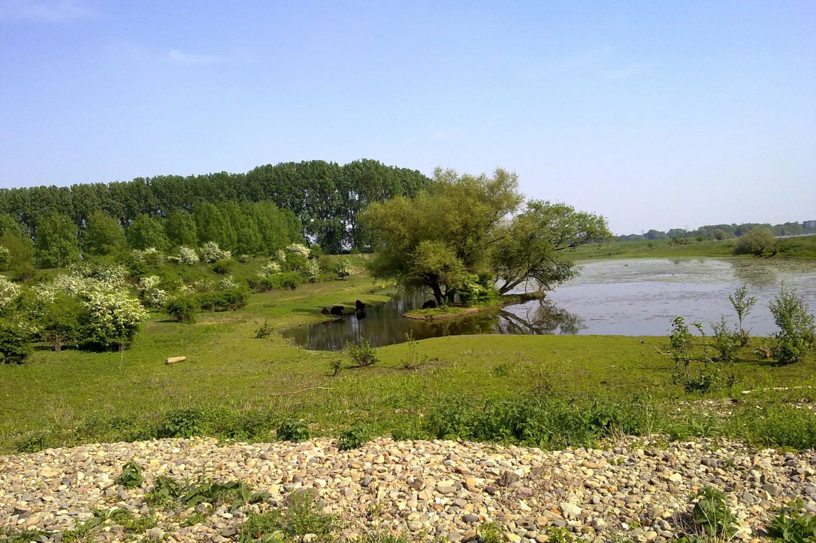 Maasheuvel-Gebieden zomer 20km