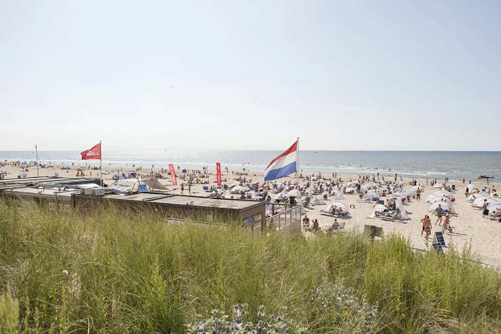 Duintop Bergen aan Zee-Gebieden zomer 5km