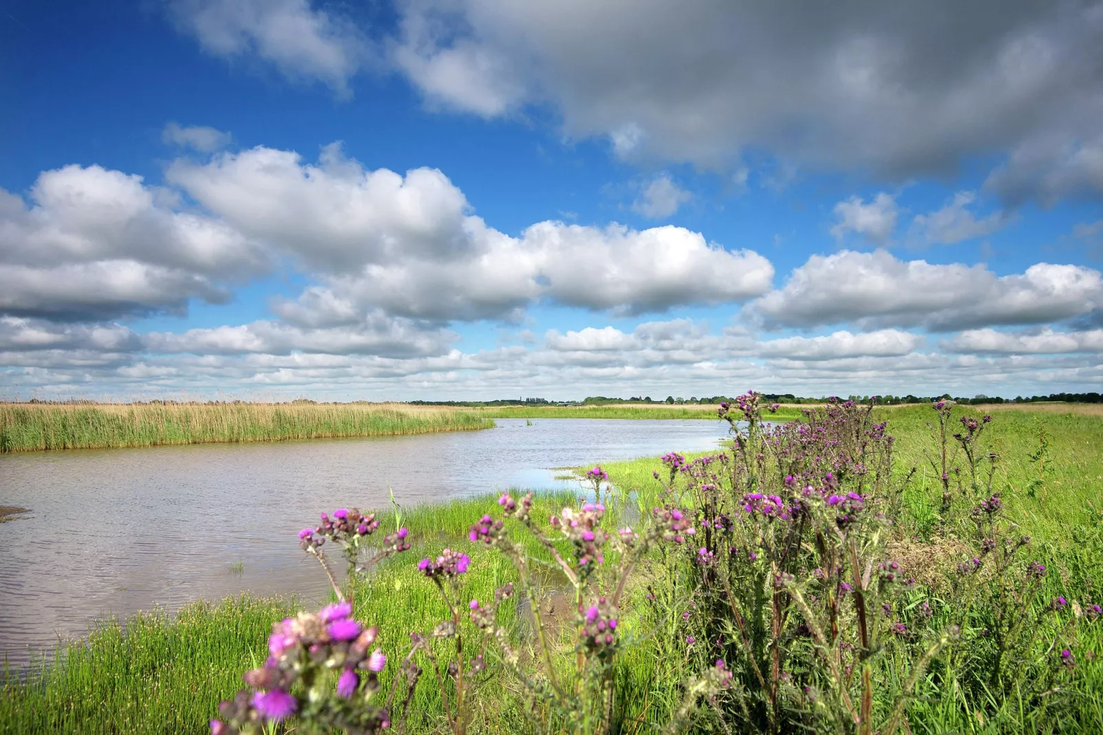 Watervilla de Blauwe Reiger-Gebieden zomer 5km